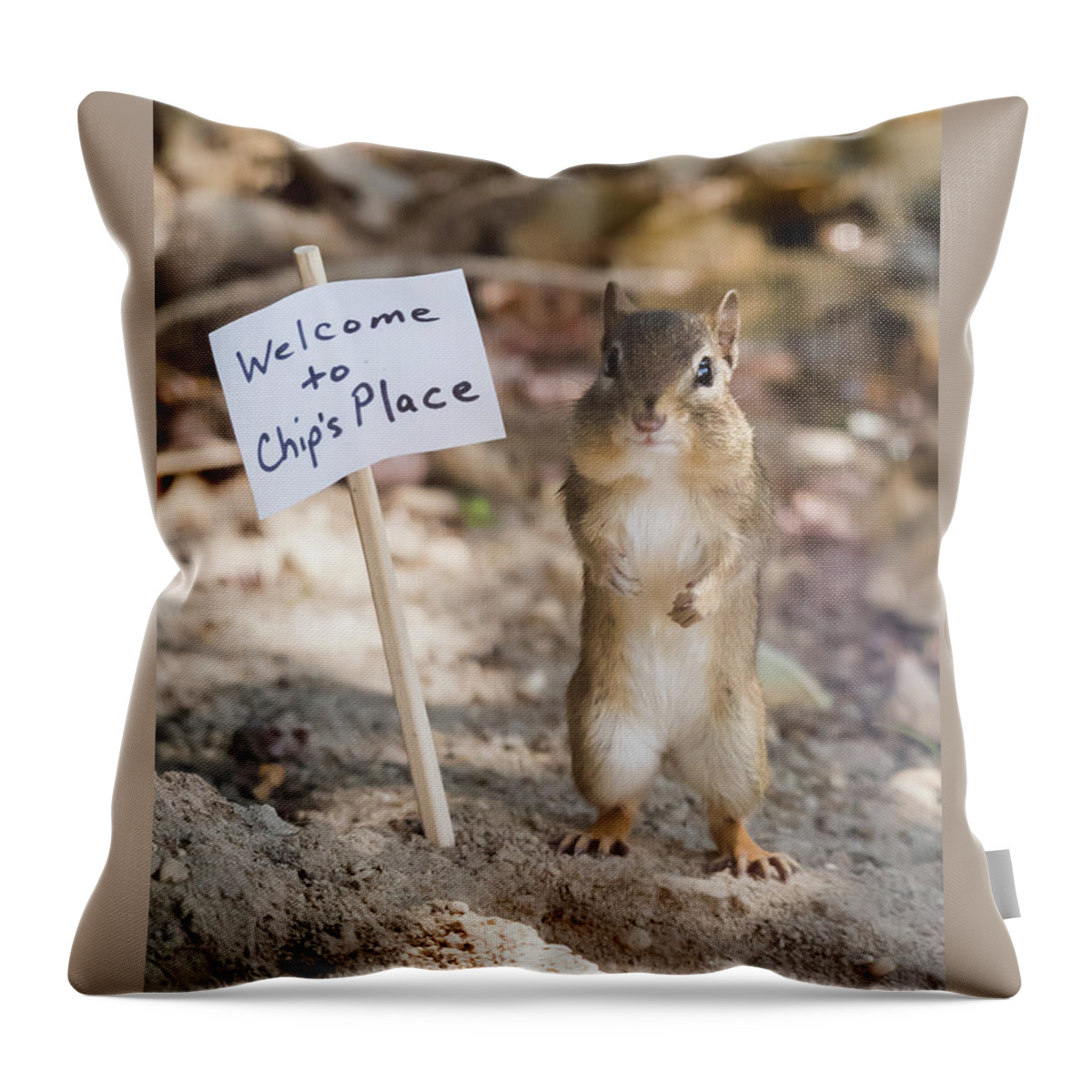 Terry D Photography Throw Pillow featuring the photograph Chip's Place by Terry DeLuco