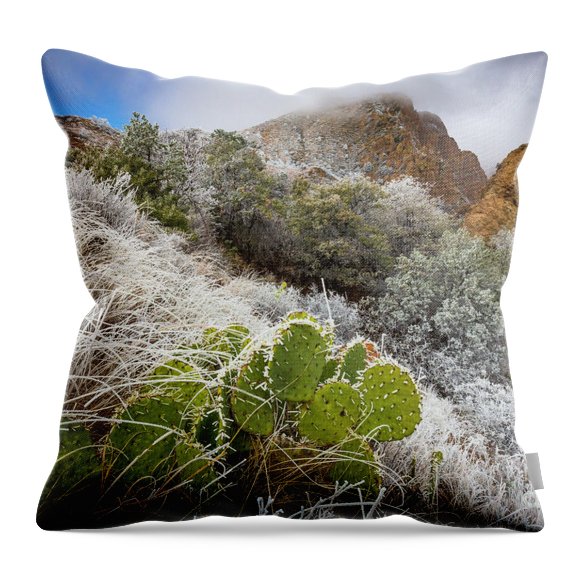 America Throw Pillow featuring the photograph Chisos Winter Wonderland by Inge Johnsson