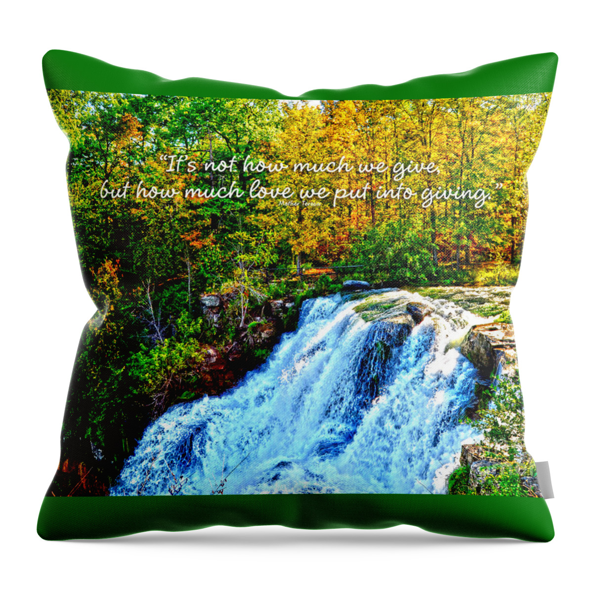 Diane Berry Throw Pillow featuring the photograph Chittenango Falls, NY Mother Teresa by Diane E Berry