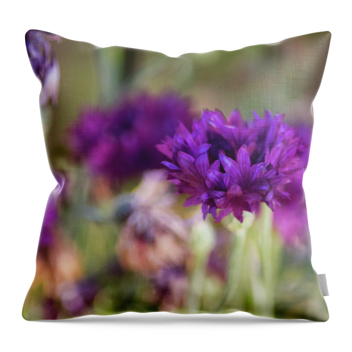 Purple Flowers Throw Pillow featuring the photograph Chive Blossoms by Bonnie Bruno