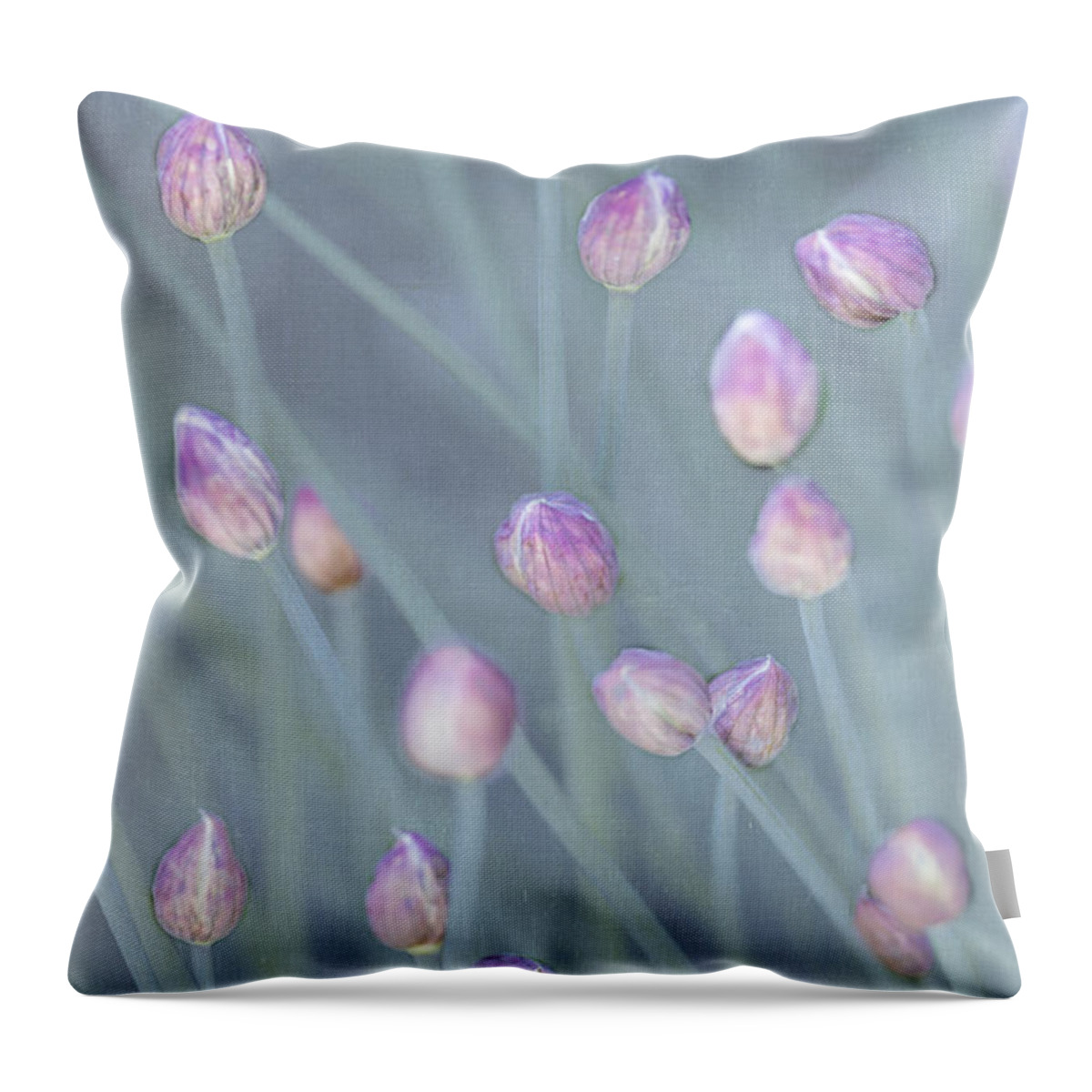 Brattleboro Vermont Spring Throw Pillow featuring the photograph Chive Buds by Tom Singleton