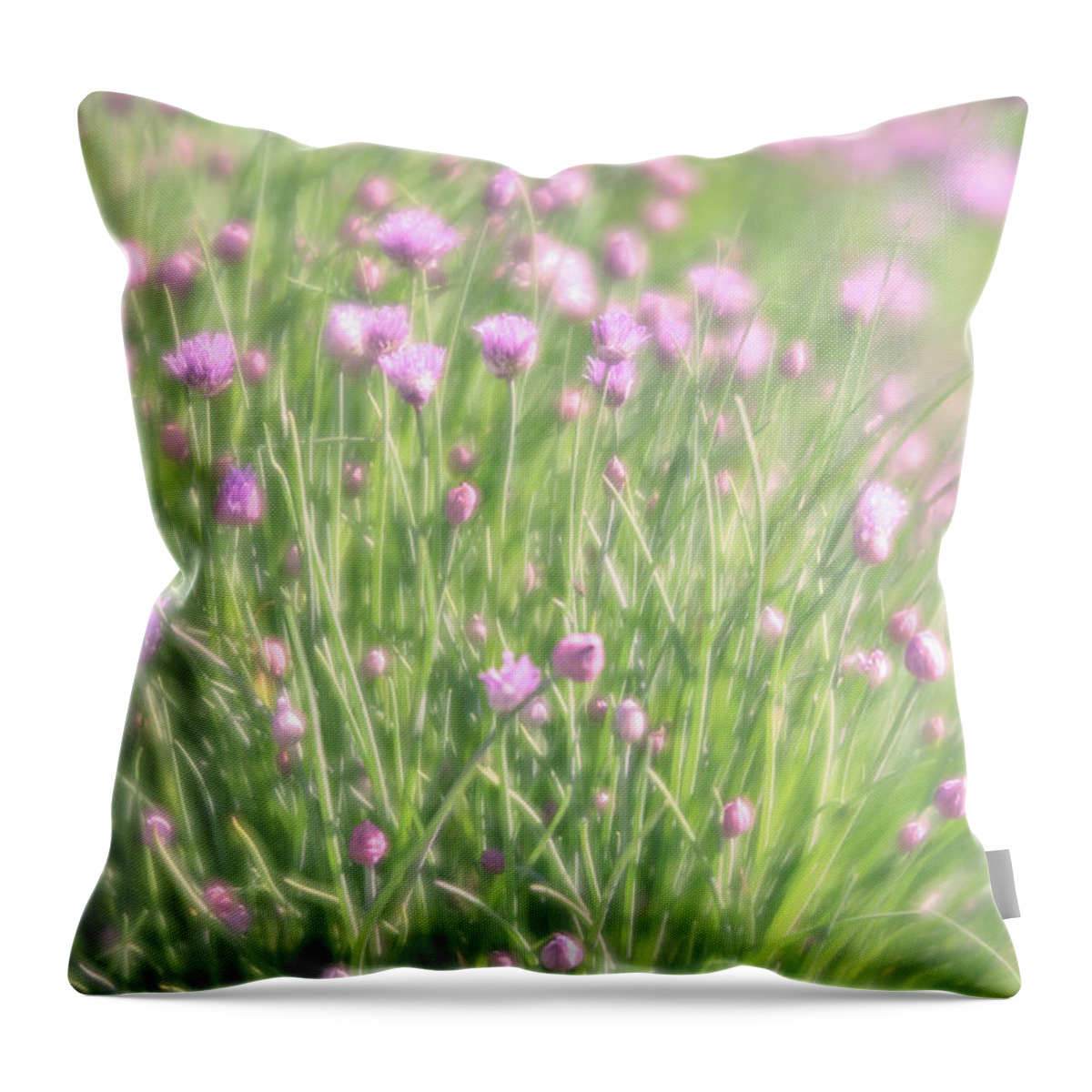 Chive Throw Pillow featuring the photograph Chives by Jennifer Grossnickle