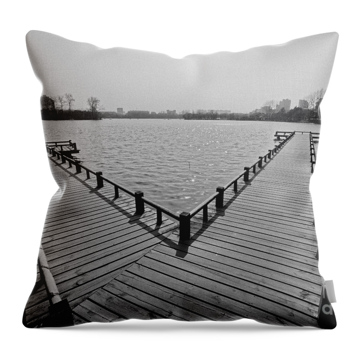 Black & White Throw Pillow featuring the photograph Choices by James L Davidson