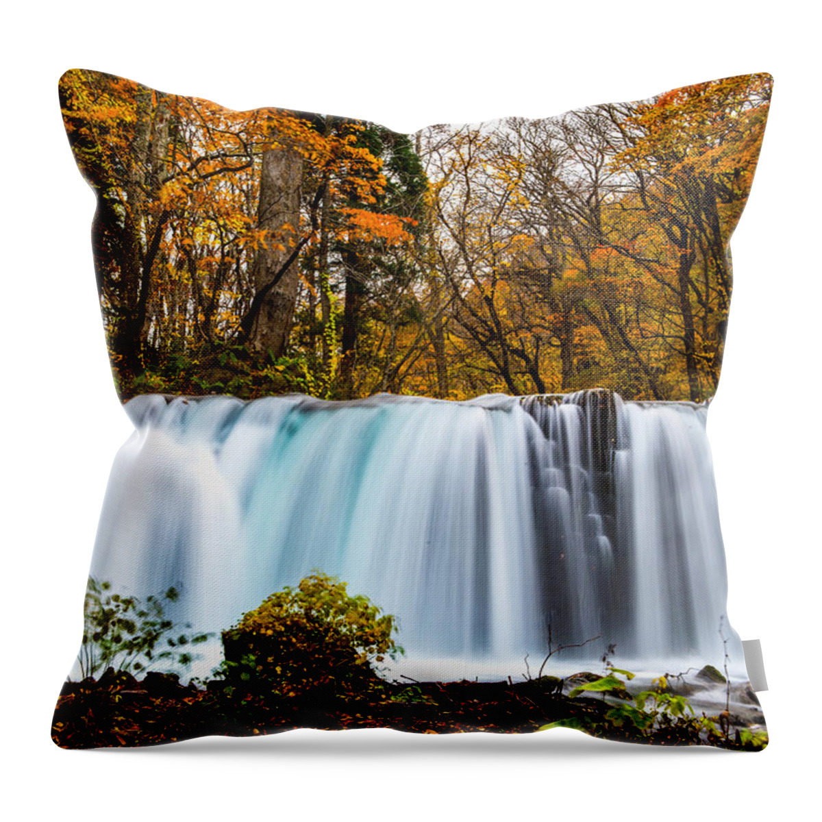 Fall Color Throw Pillow featuring the photograph Choshi Waterfall by Hisao Mogi