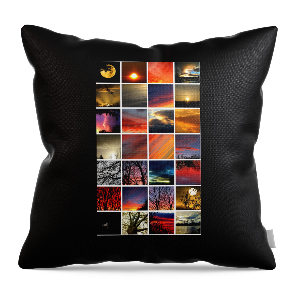 Sun Throw Pillow featuring the photograph Chris's Greatest Hits by Chris Dunn