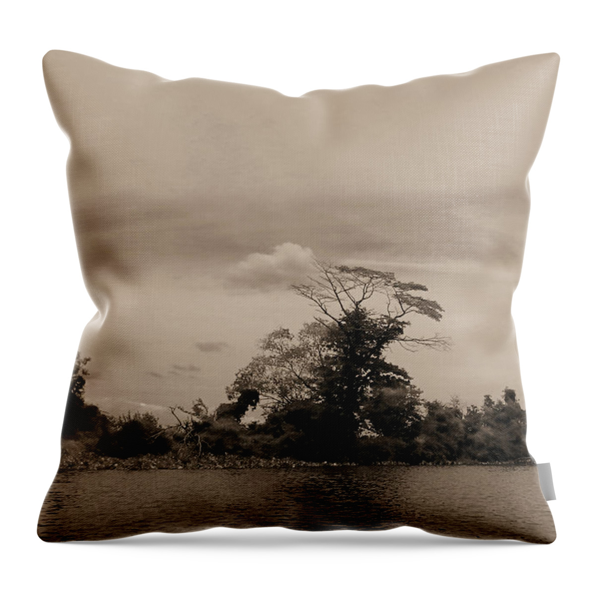 De Throw Pillow featuring the photograph Christina River #30045 by Raymond Magnani