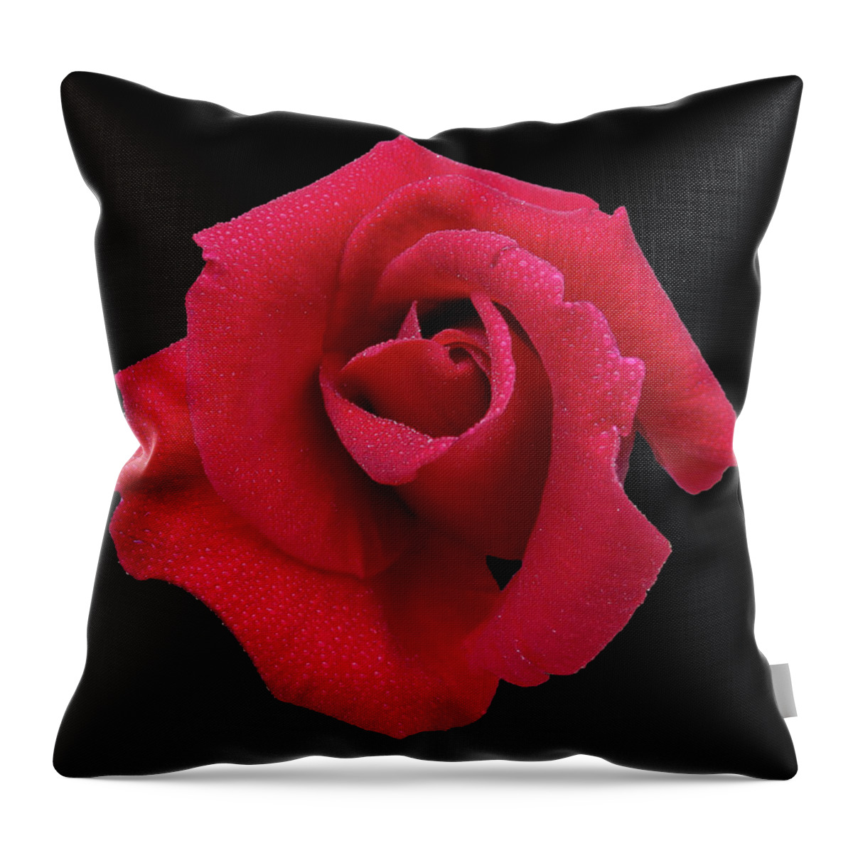 Rose Throw Pillow featuring the photograph Christine by Mark Blauhoefer