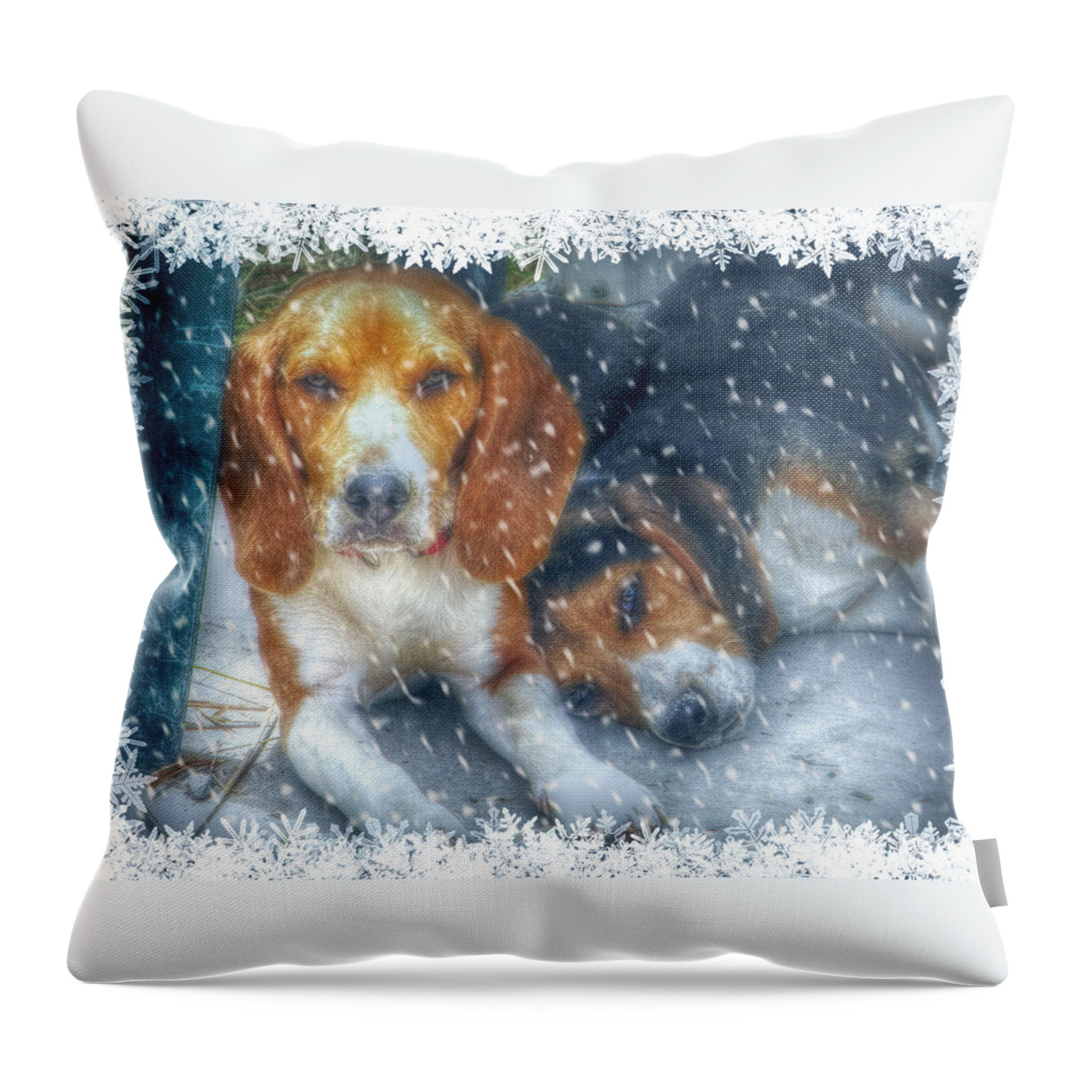 Beagles Throw Pillow featuring the photograph Christmas Brothers by Amanda Eberly