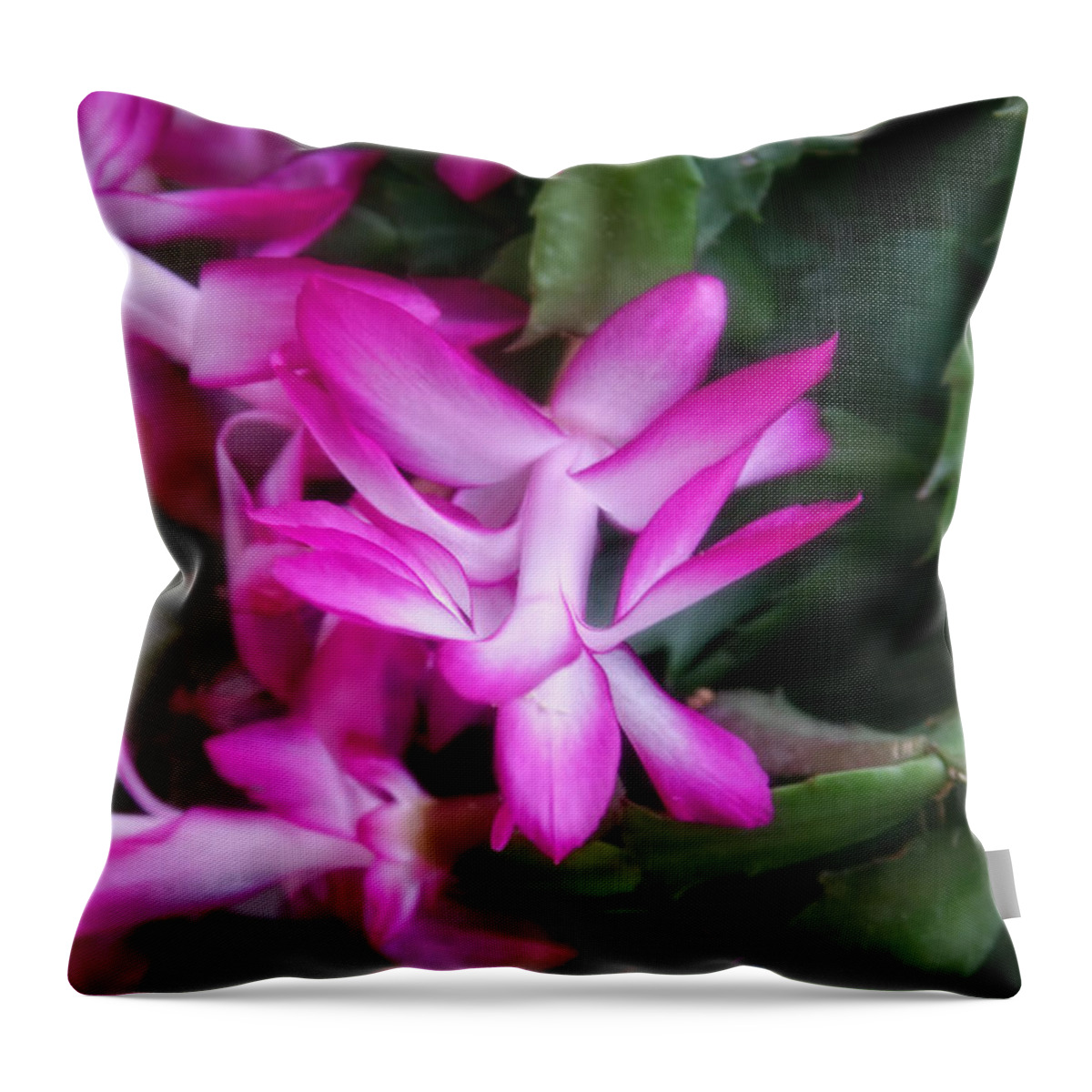 Flower Throw Pillow featuring the photograph Christmas Cactus by Joan Bertucci