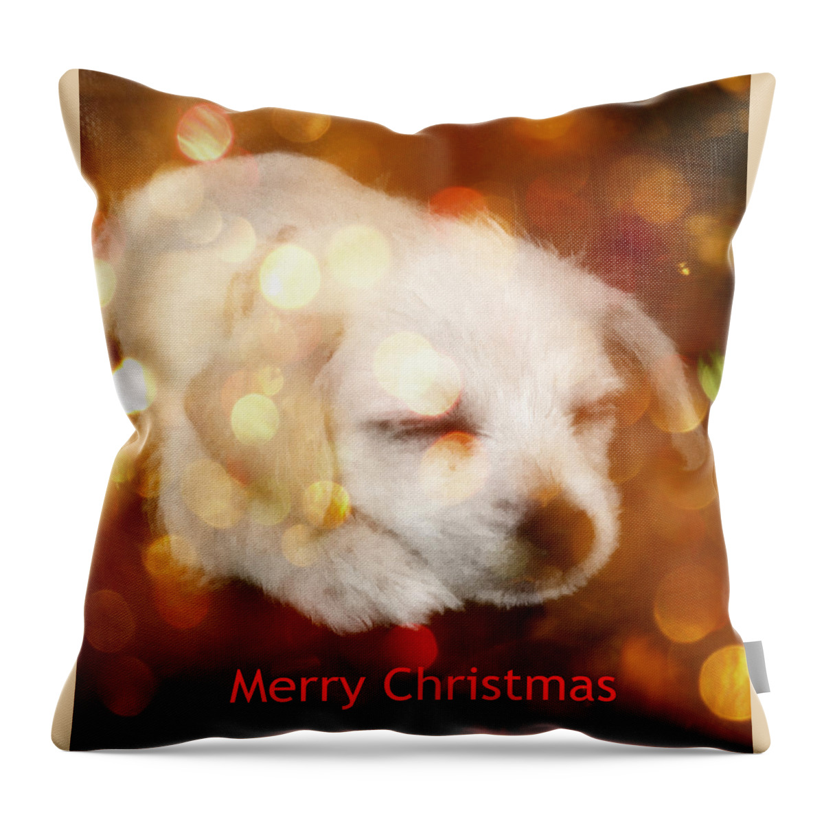 Christmas Puppy Throw Pillow featuring the photograph Christmas Puppy by Amanda Eberly