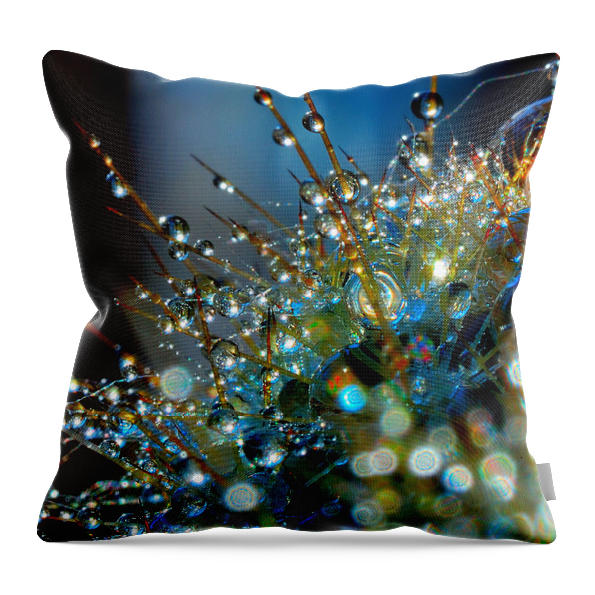 Cactus Throw Pillow featuring the photograph Christmas tree made of cactus and water drops by Yuri Hope