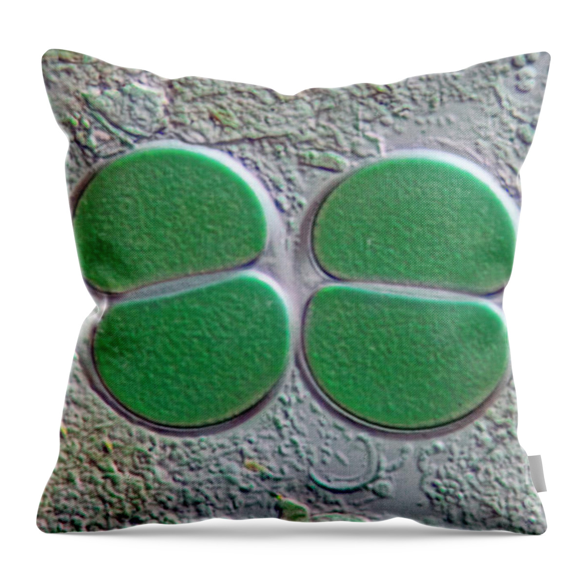 Chroococcus Throw Pillow featuring the photograph Chroococcus, Dic by M. I. Walker