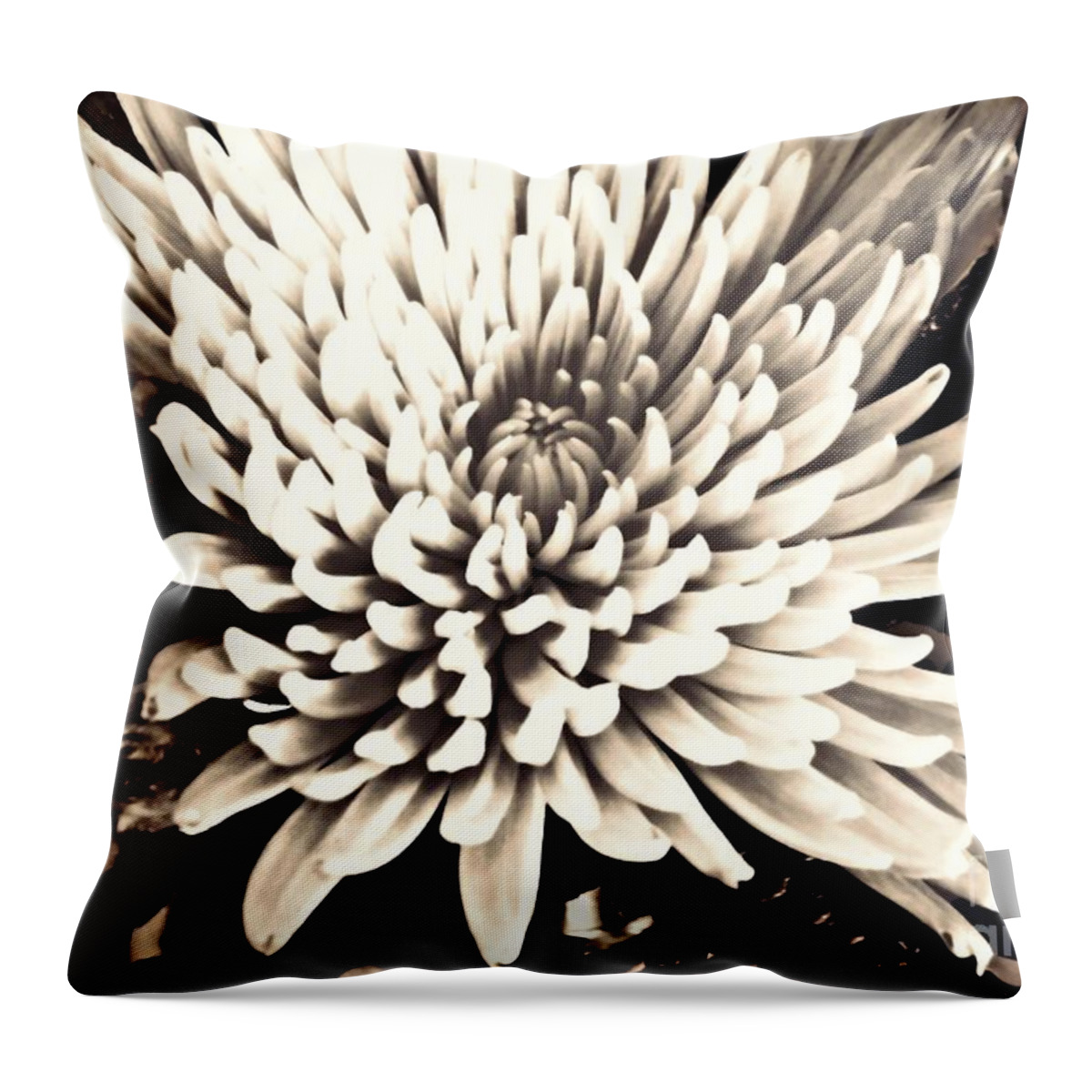 Chrysanthemum Throw Pillow featuring the photograph Chrysanthemum in Sepia 2 by Sarah Loft