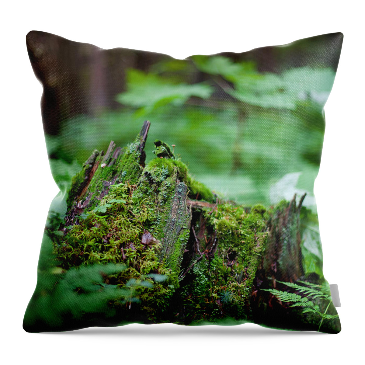 Alaska Throw Pillow featuring the photograph Chugach National Forest by Scott Slone