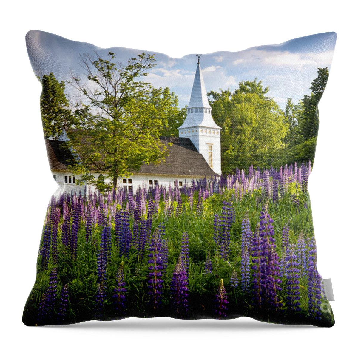 Antique Throw Pillow featuring the photograph Church on Sugar Hill by Susan Cole Kelly