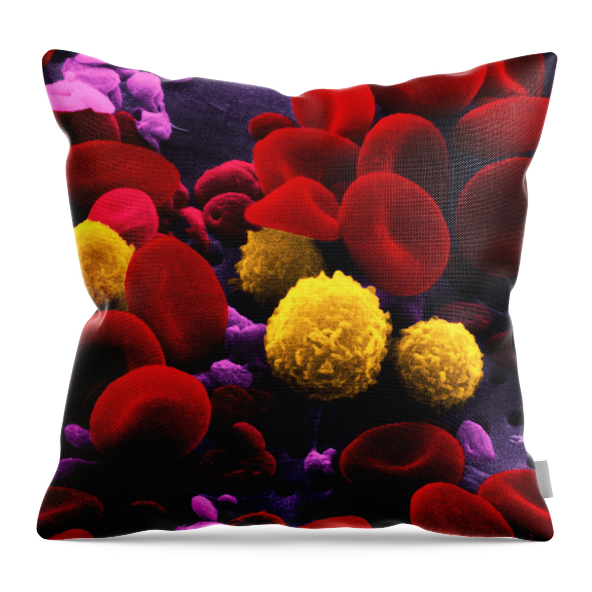 Scanning Electron Micrograph Throw Pillow featuring the photograph Circulating Human Blood, Sem by Omikron