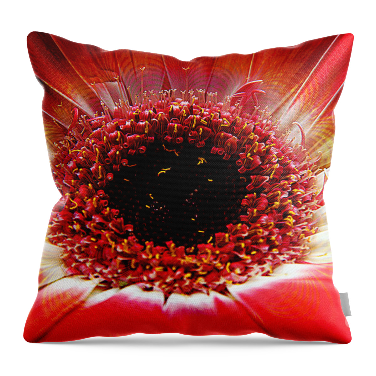 Clay Throw Pillow featuring the photograph Circumvent by Clayton Bruster