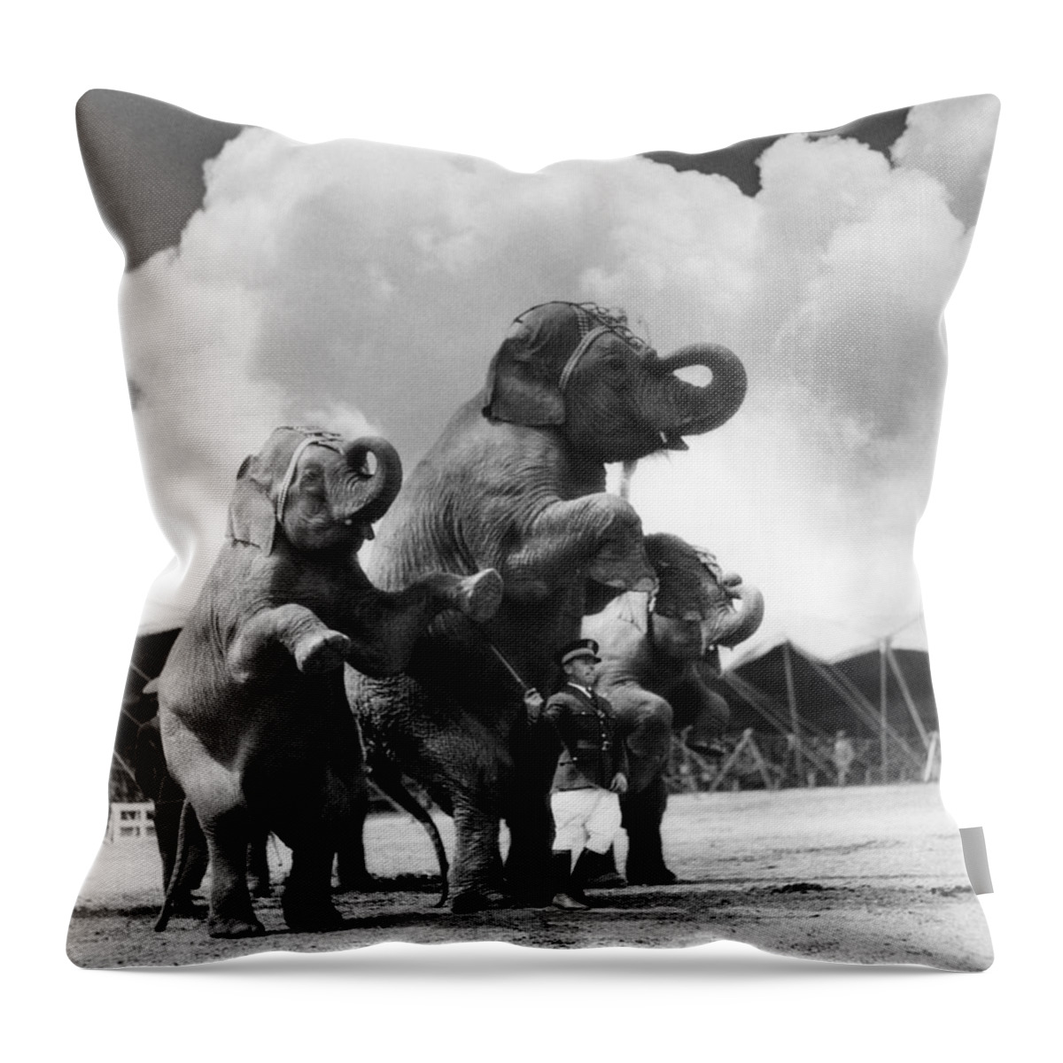 1930s Throw Pillow featuring the photograph Circus Trainer With Elephants, C.1930s by H. Armstrong Roberts/ClassicStock