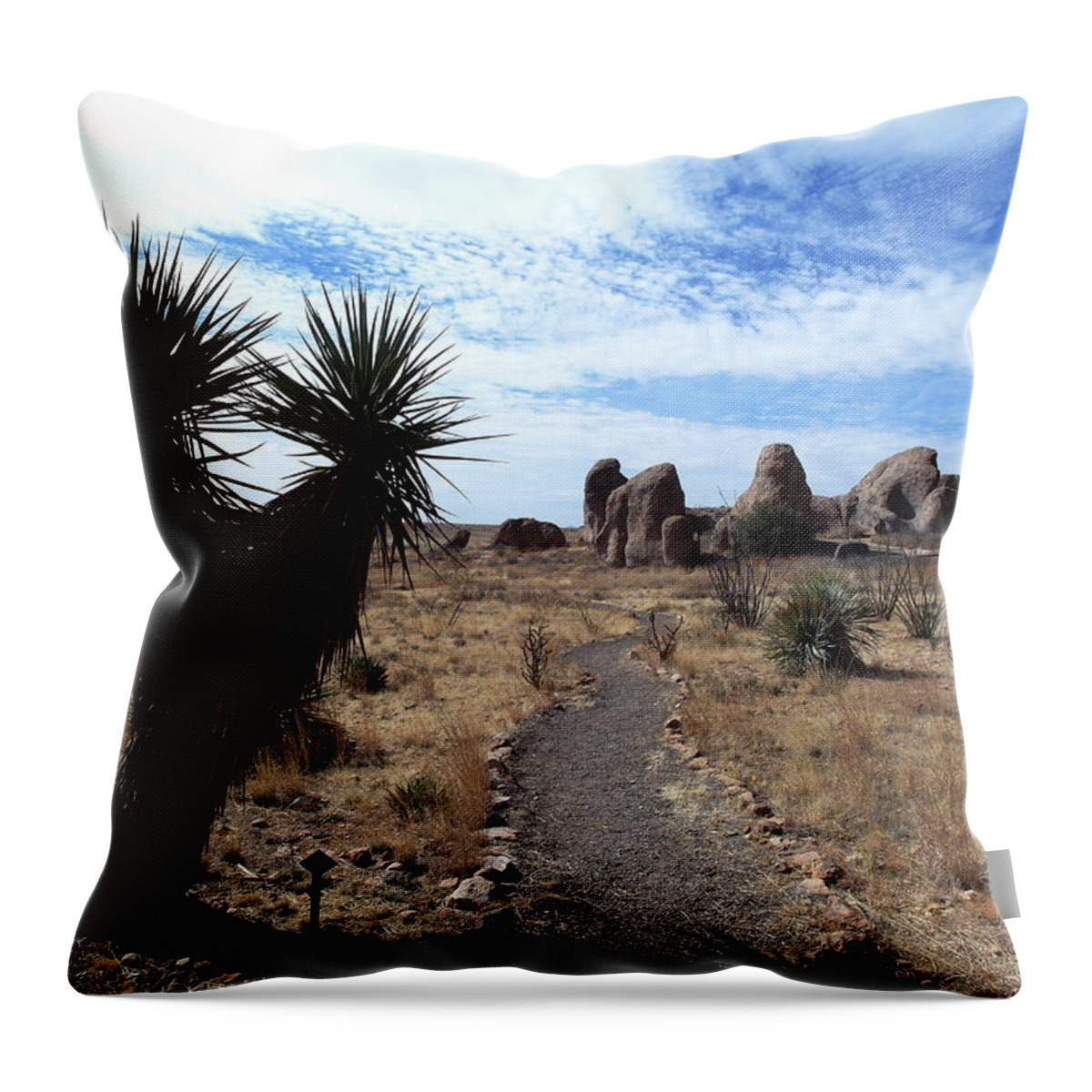 Desert Throw Pillow featuring the photograph City of Rocks - New Mexico by Christopher Brown