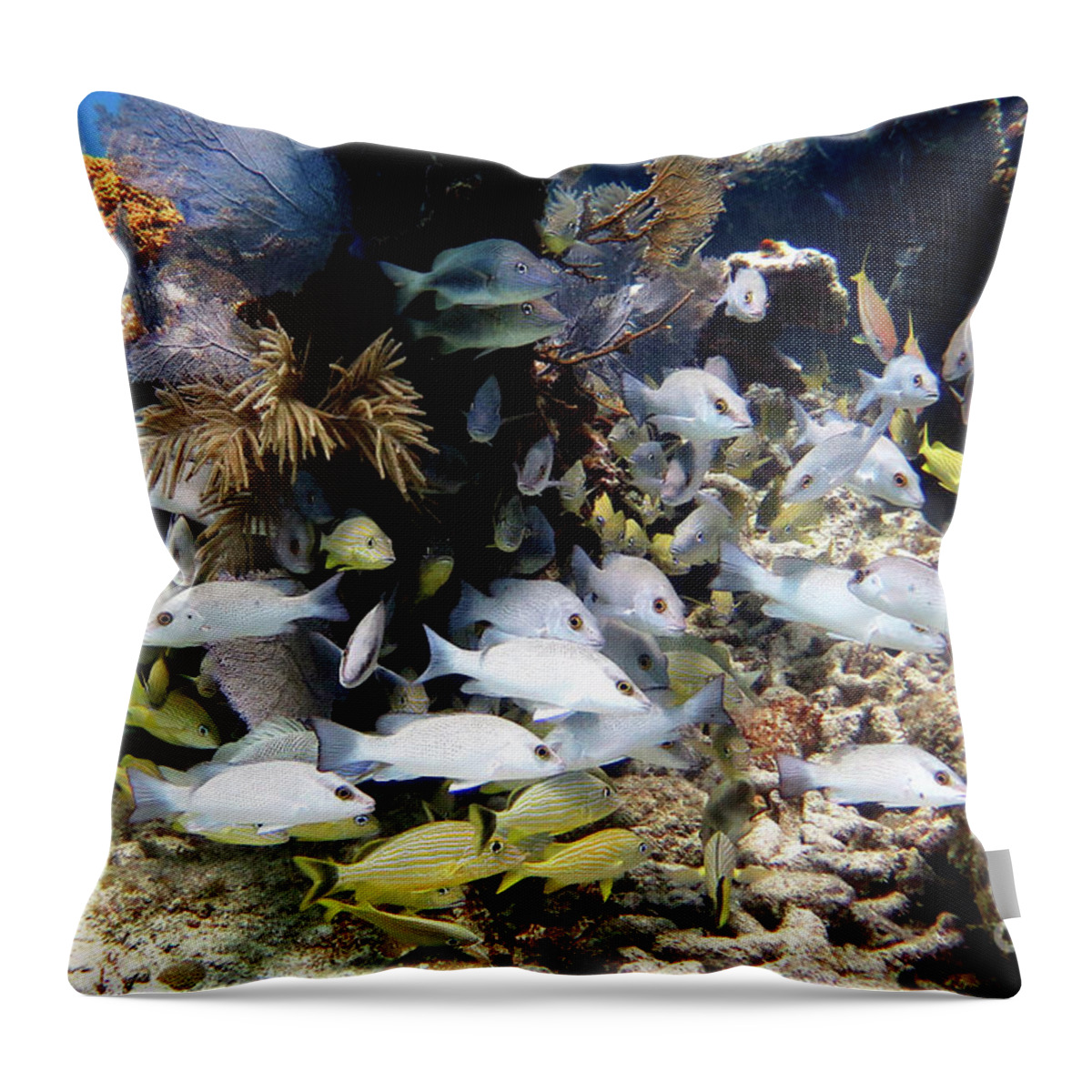 Underwater Throw Pillow featuring the photograph City of Washington 12 by Daryl Duda