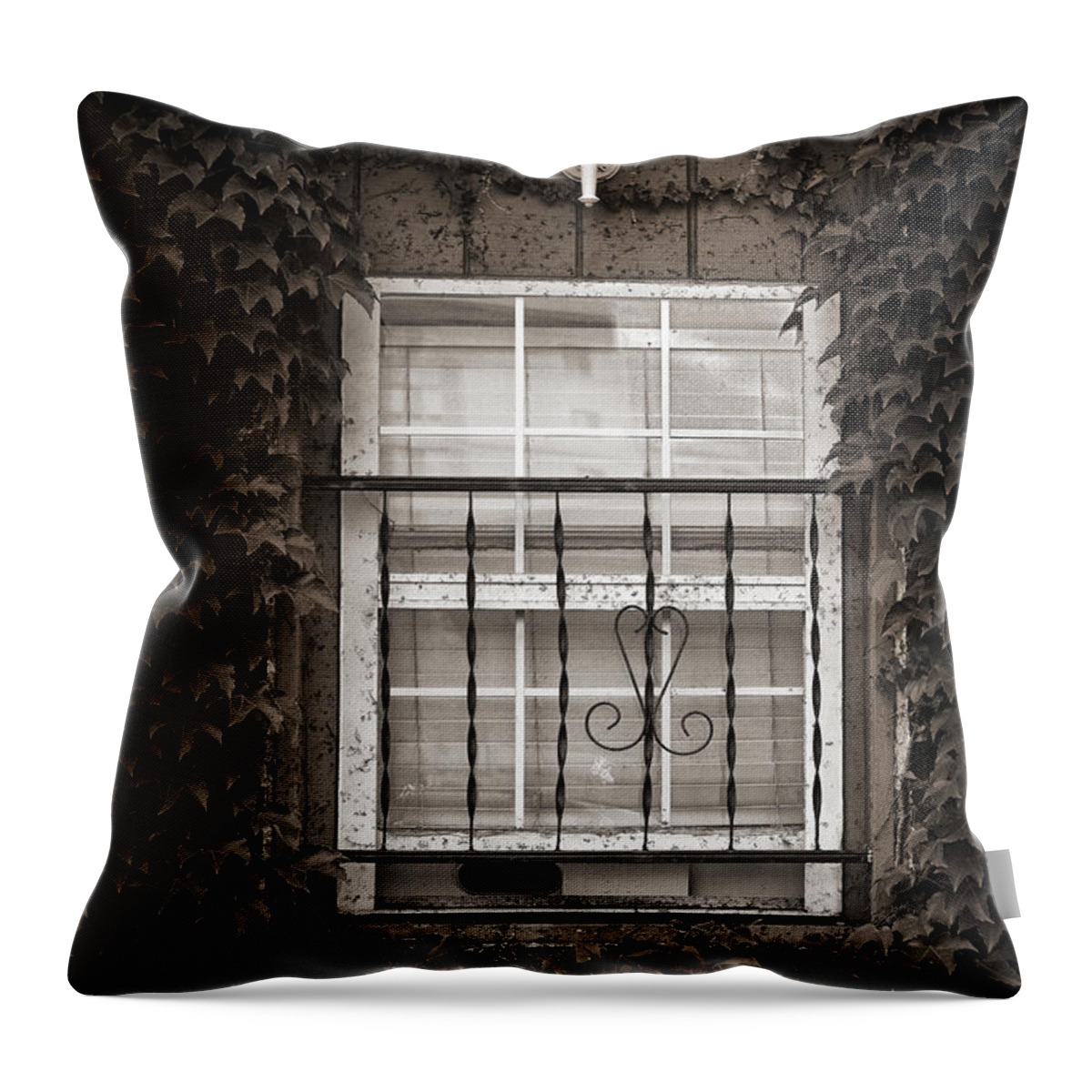 Sepia Throw Pillow featuring the photograph City Window Detail by Dick Pratt