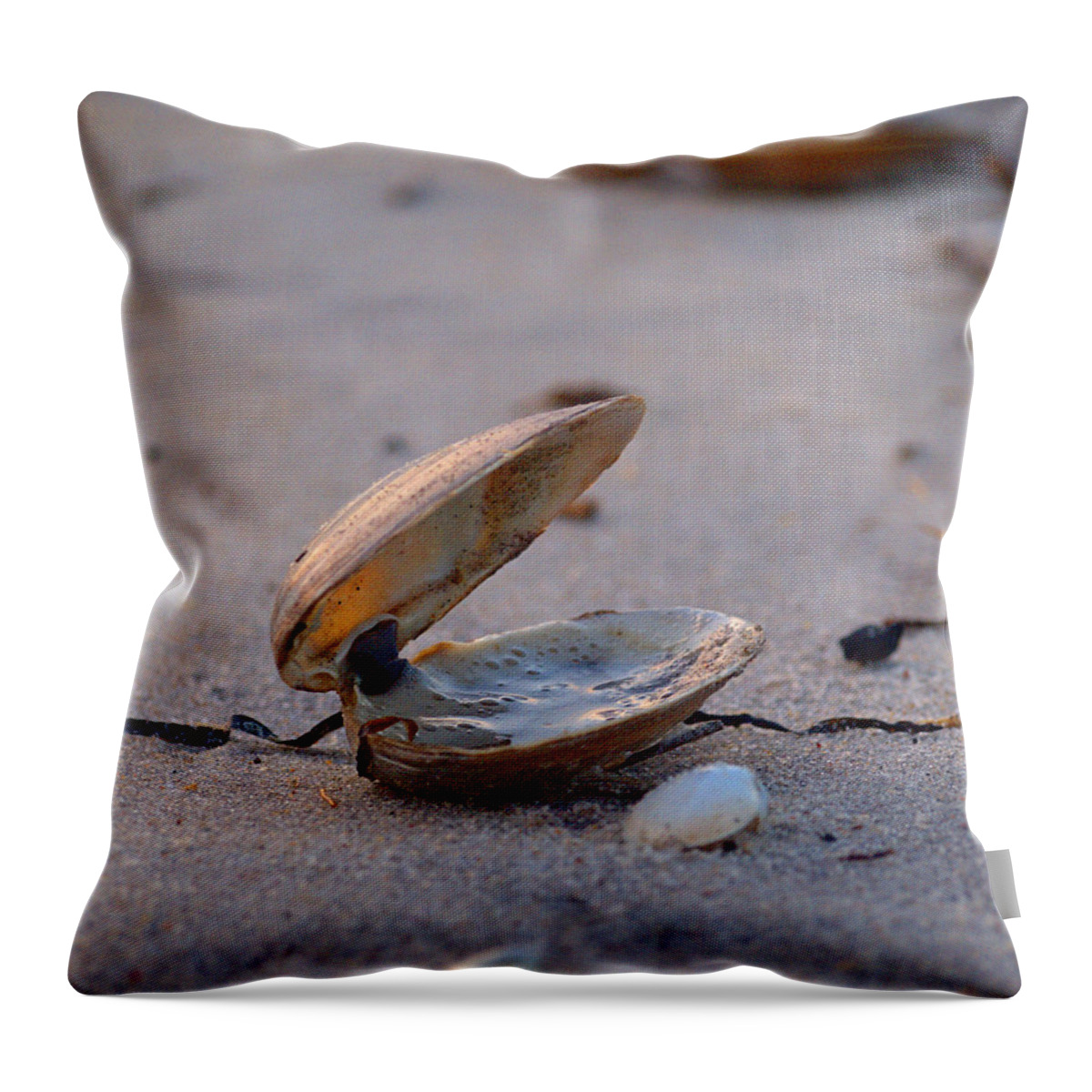 Clam Throw Pillow featuring the photograph Clam I by Newwwman