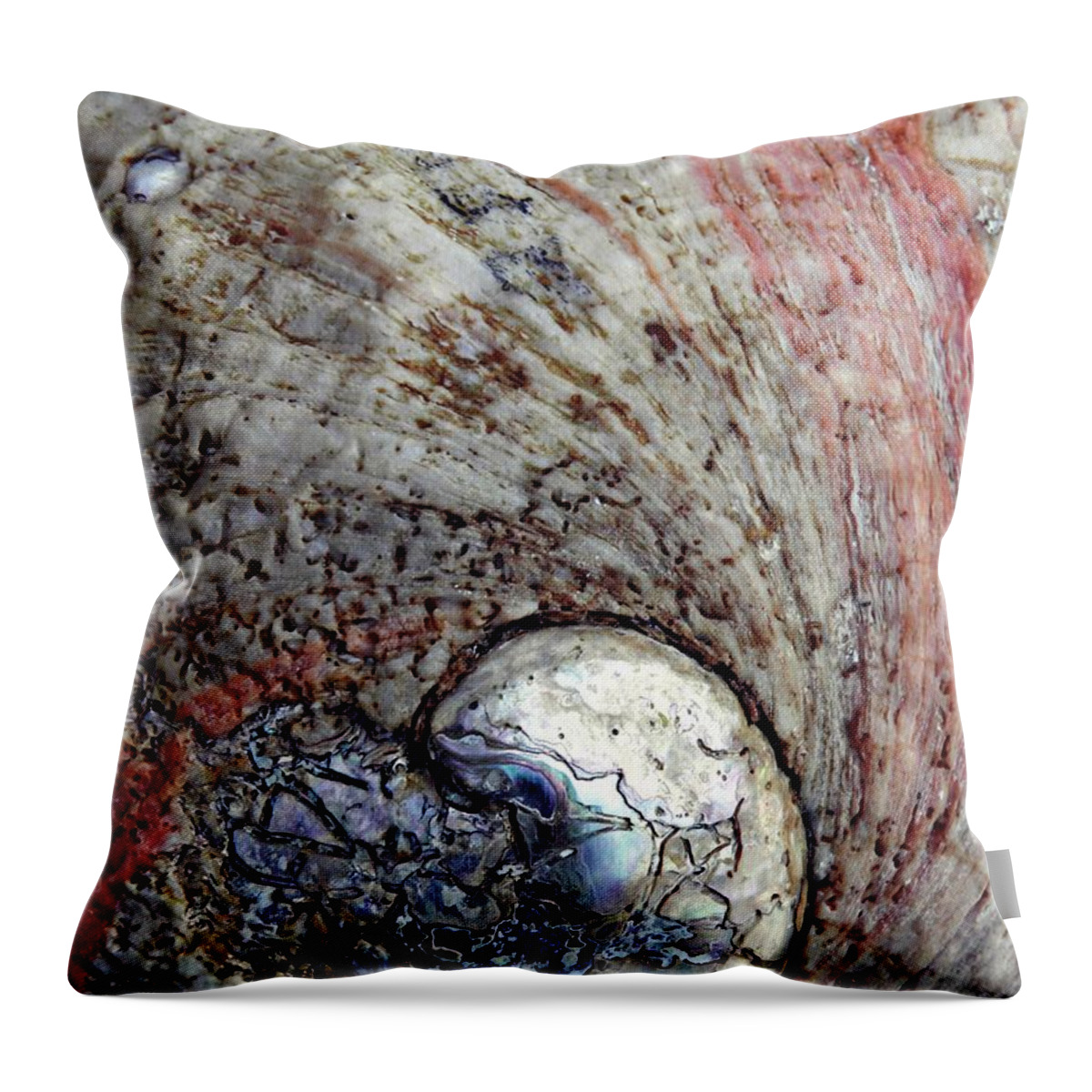 Abalone Throw Pillow featuring the photograph Abalone Shell Abstract 8 by Sarah Loft