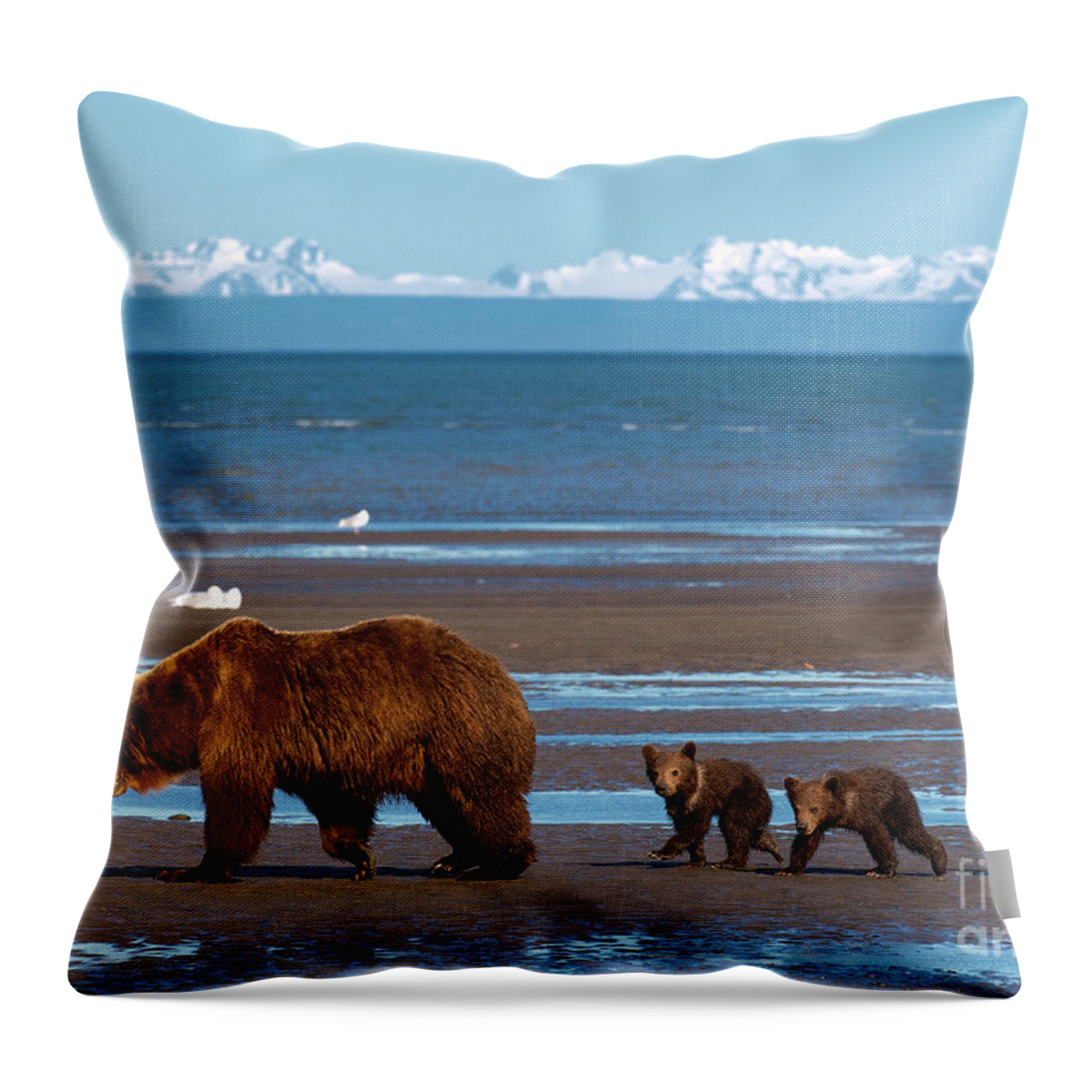 Alaskan Brown Bears Throw Pillow featuring the photograph Clamming Trip by Aaron Whittemore