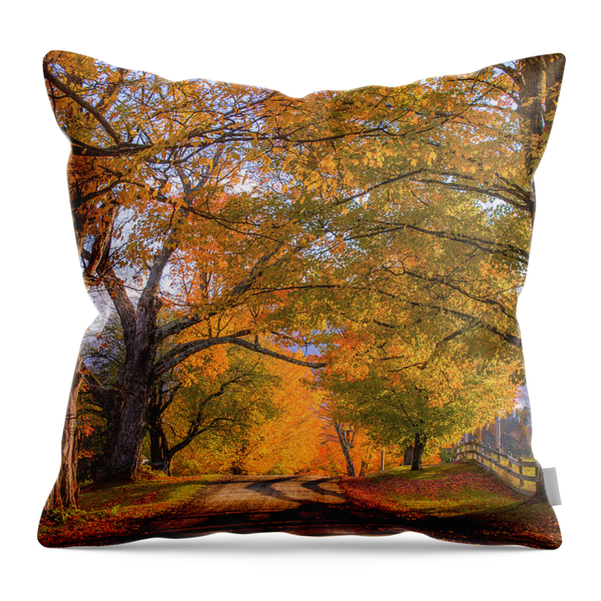Autumn Throw Pillow featuring the photograph Classic Vermont Fall by Tim Kirchoff