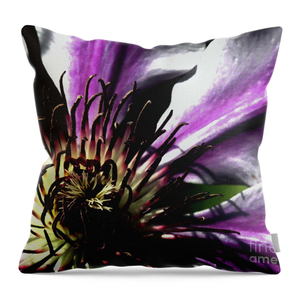 Macro Throw Pillow featuring the photograph Classy Nelly by Stephen Melia