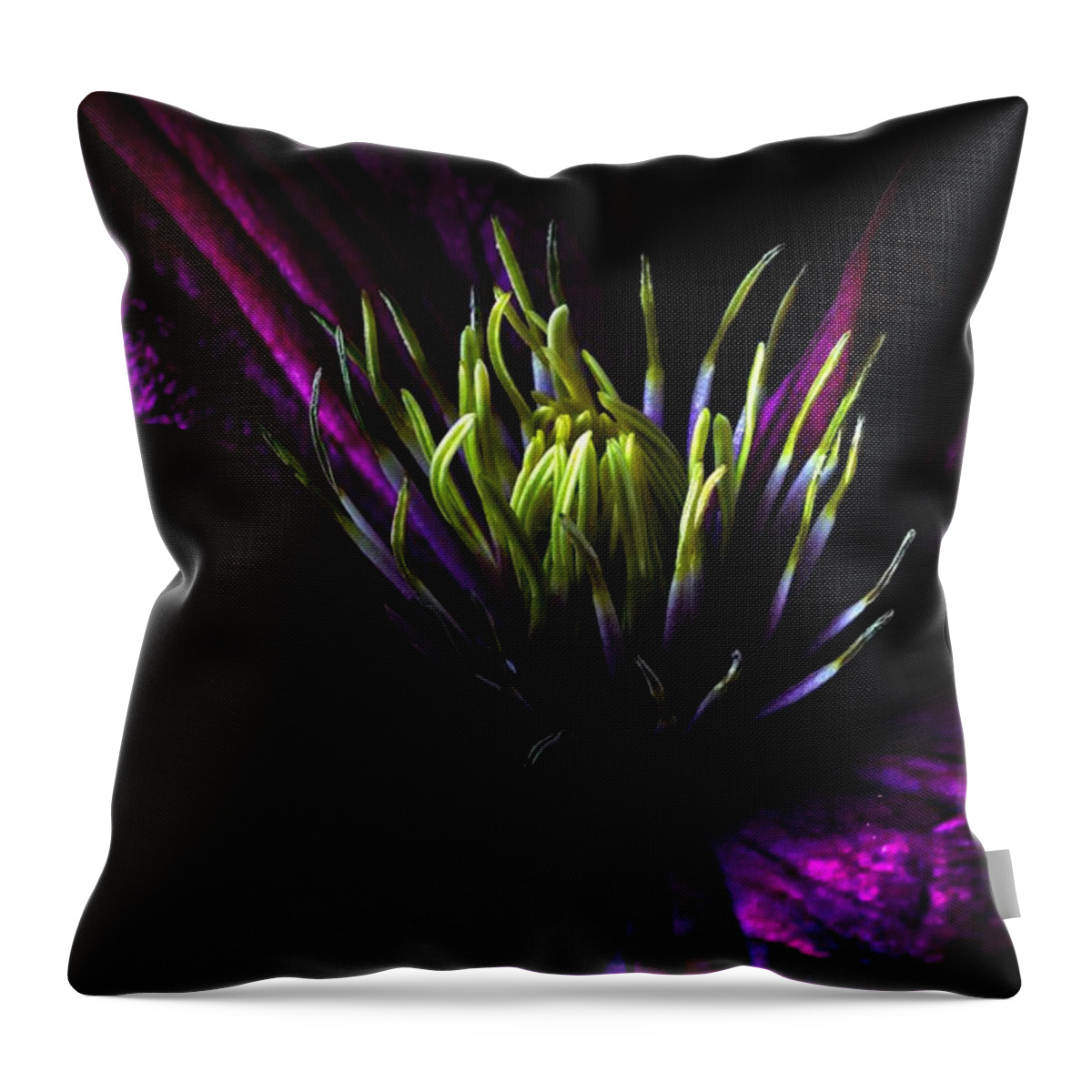 Clematis Throw Pillow featuring the photograph Clematis by Dawn Van Doorn