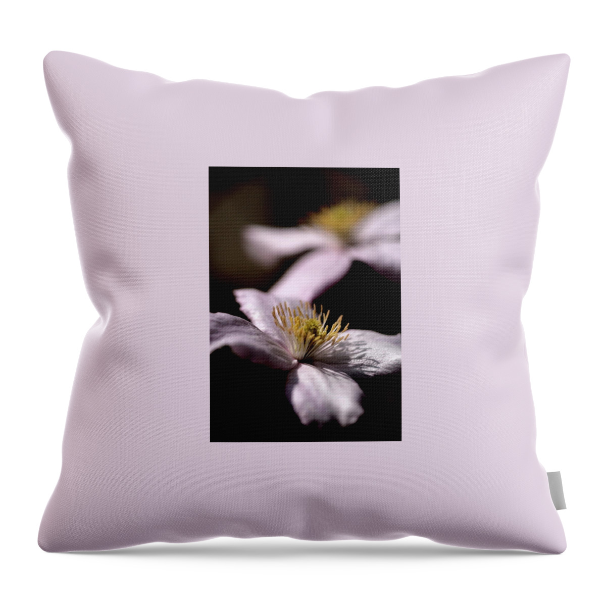 Clematis Flower Garden White Bokeh Fade On-black Throw Pillow featuring the photograph Clematis by Ian Sanders