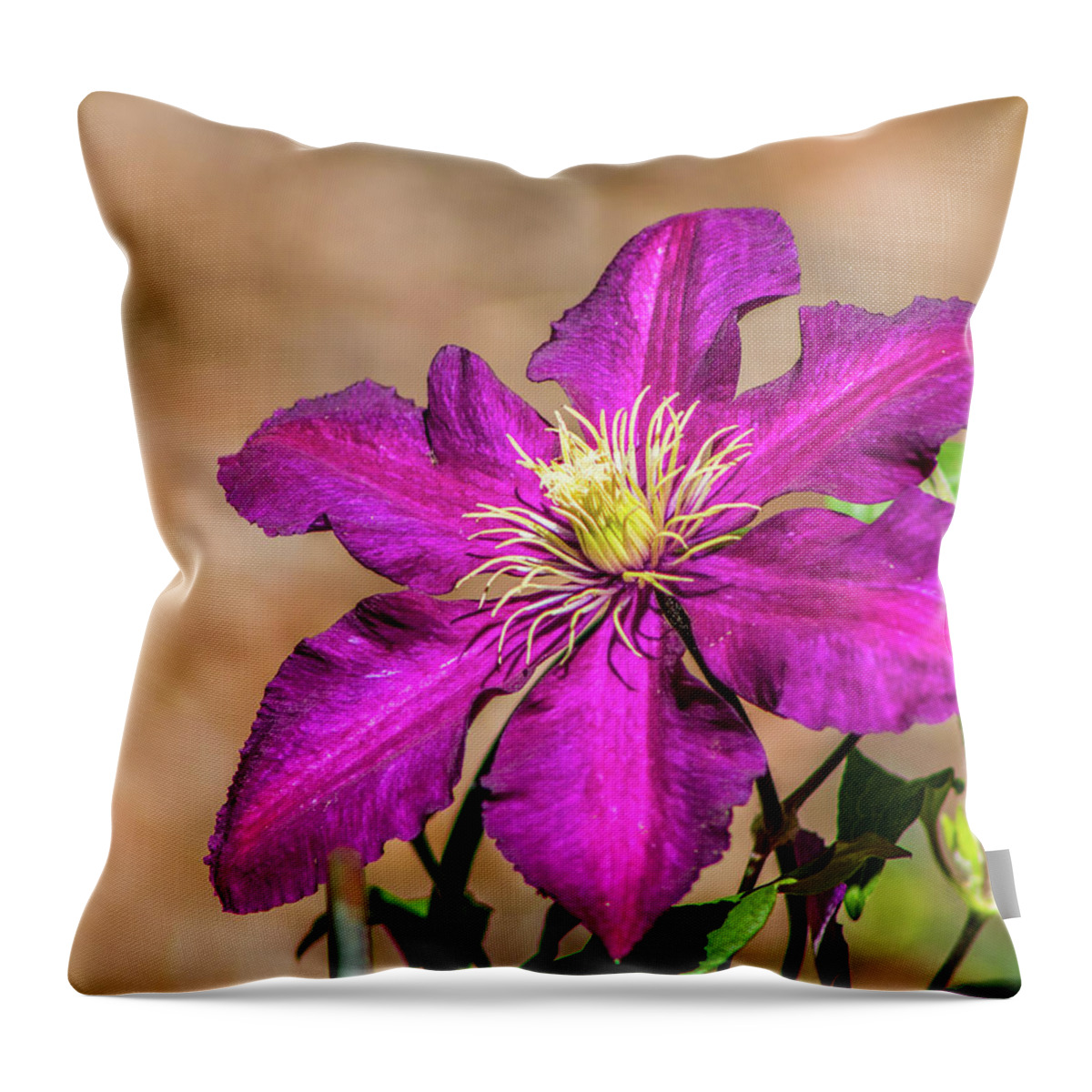 Clematis Throw Pillow featuring the photograph Clematis by Lynne Jenkins