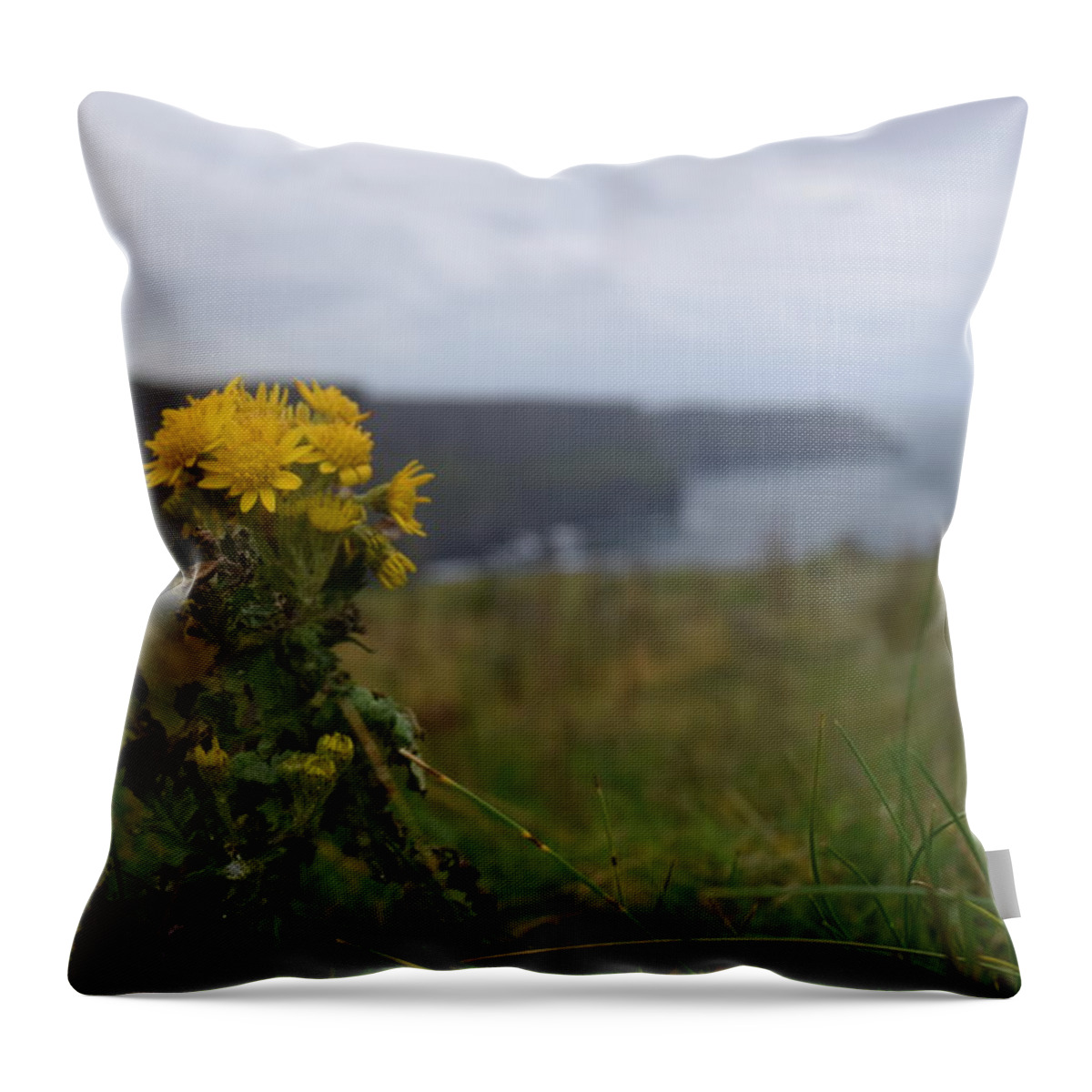 Ireland Throw Pillow featuring the photograph Cliffs of Moher Wildflowers by Curtis Krusie