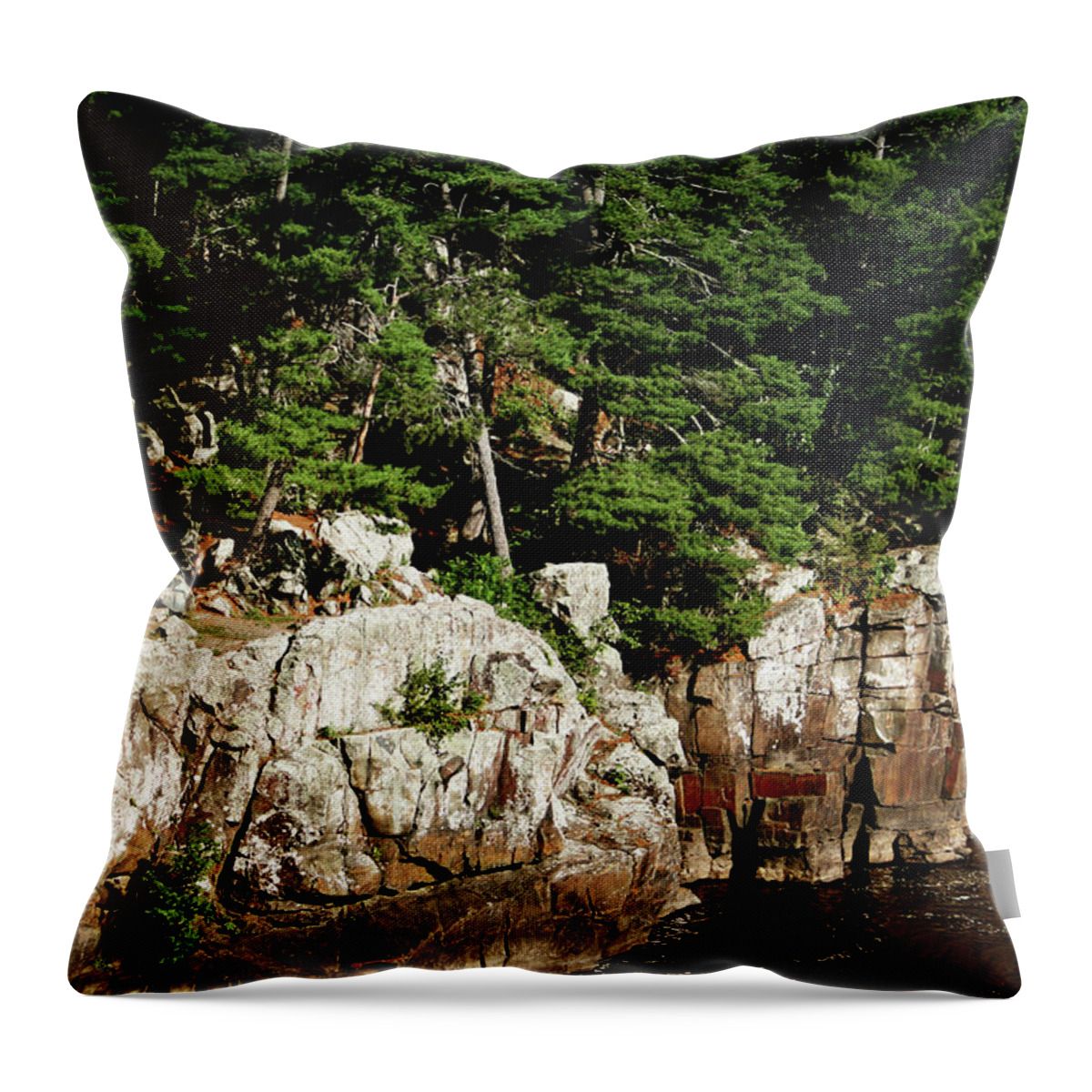 Minnesota Throw Pillow featuring the photograph Cliffs on the St. Croix River by Cheryl Day