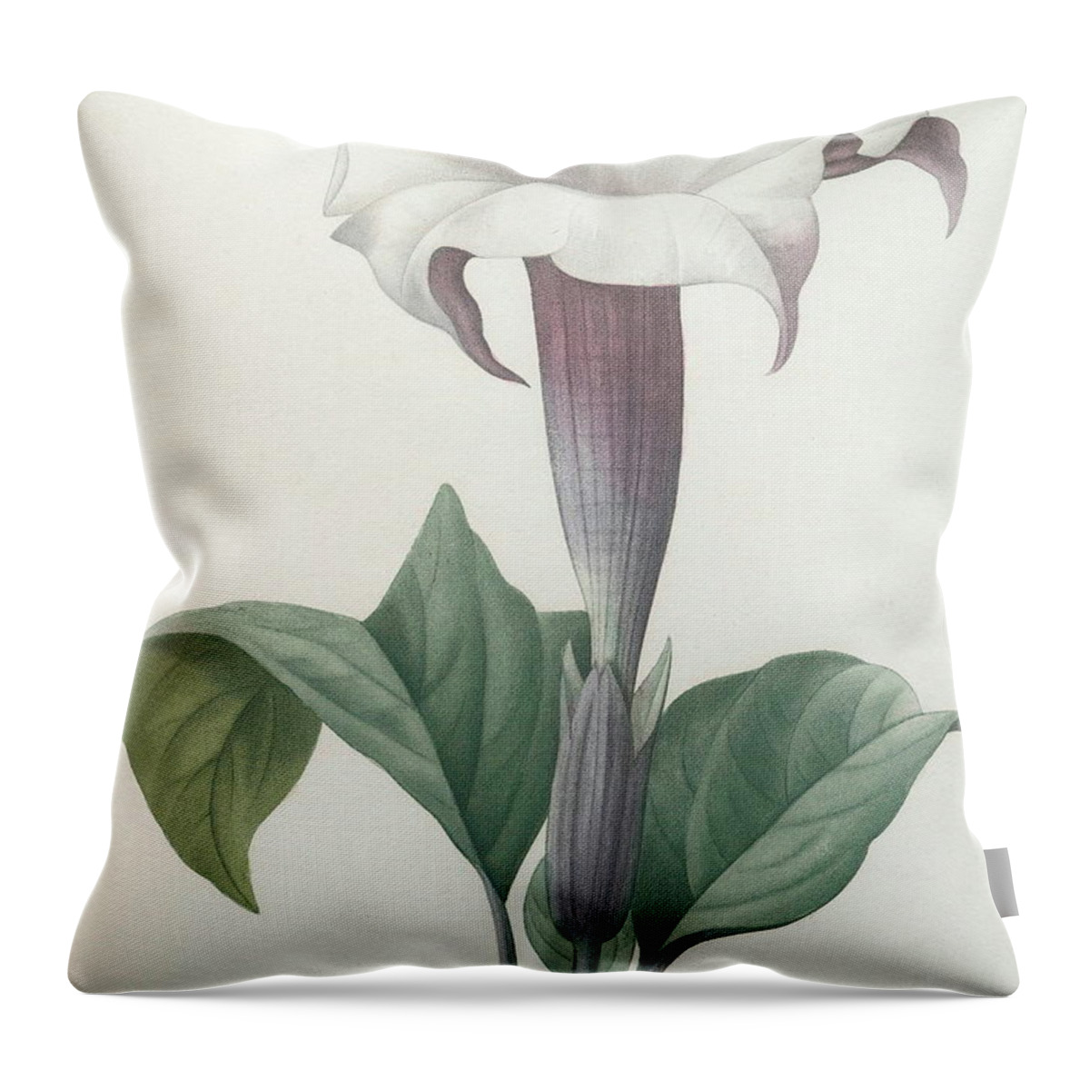 Redoute Throw Pillow featuring the painting Climbing Angel Trumpet by Pierre Joseph Redoute