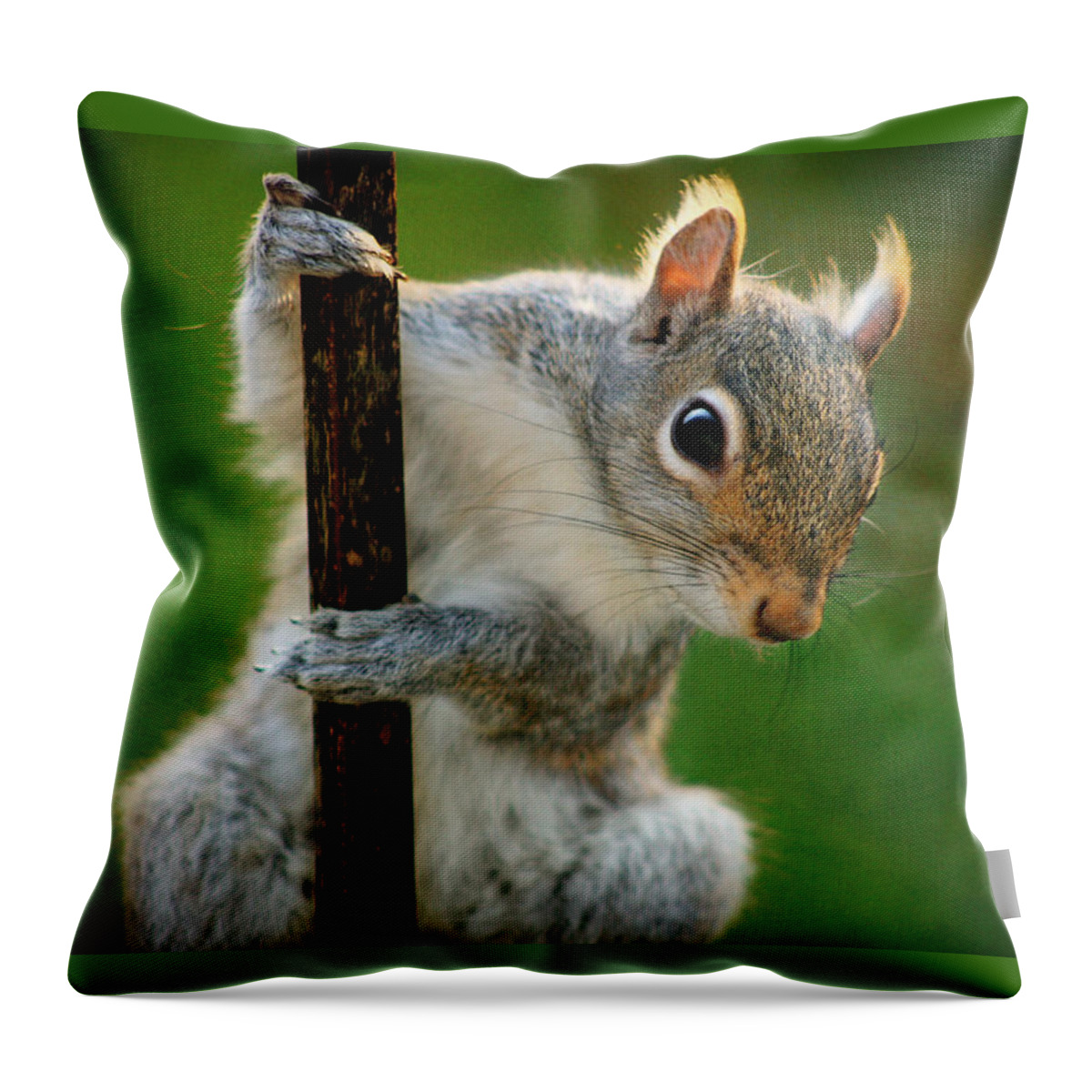 Climbing Squirrel Throw Pillow featuring the photograph Climbing Squirrel by Susan McMenamin