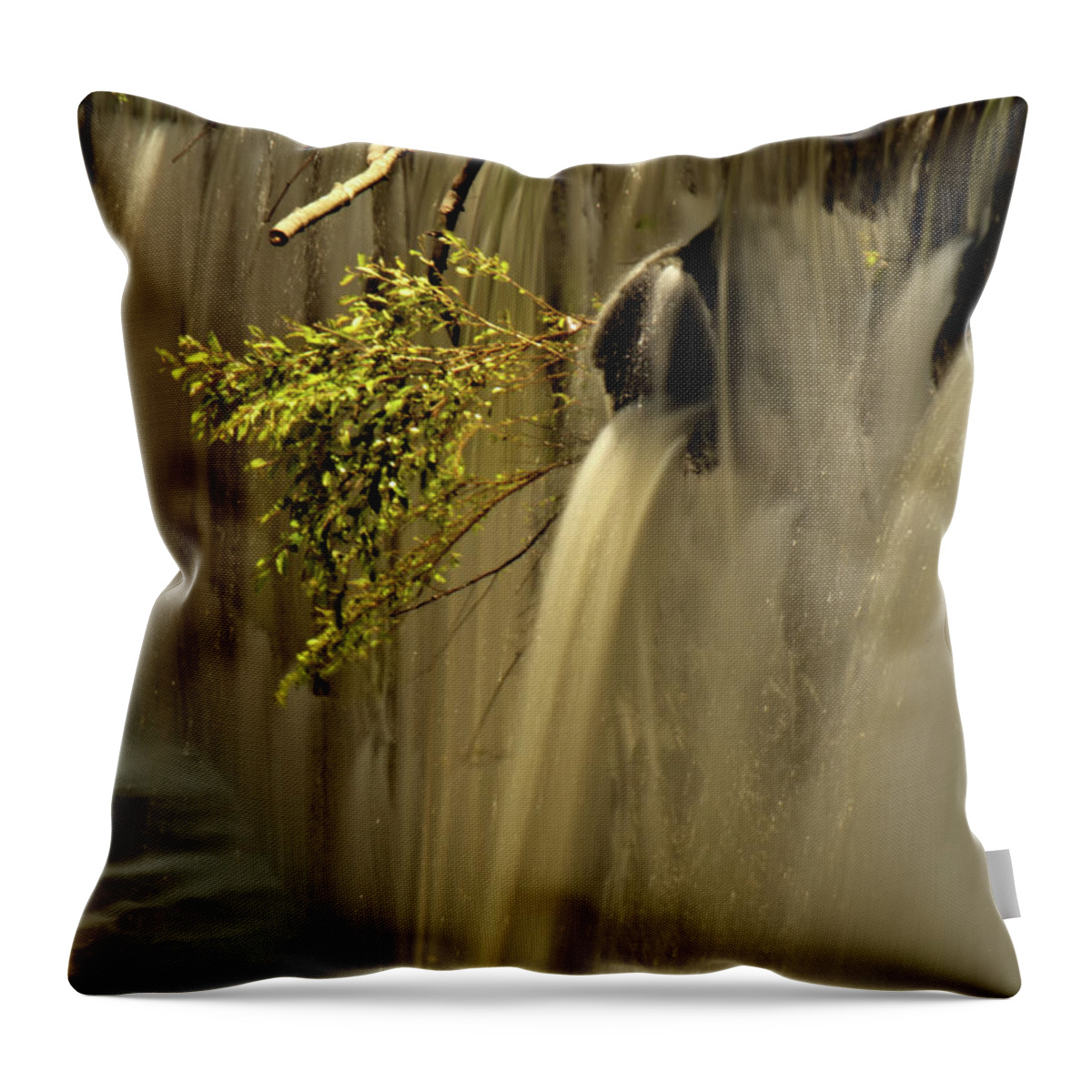 Water Throw Pillow featuring the photograph Clinging To Life by Russell Adams