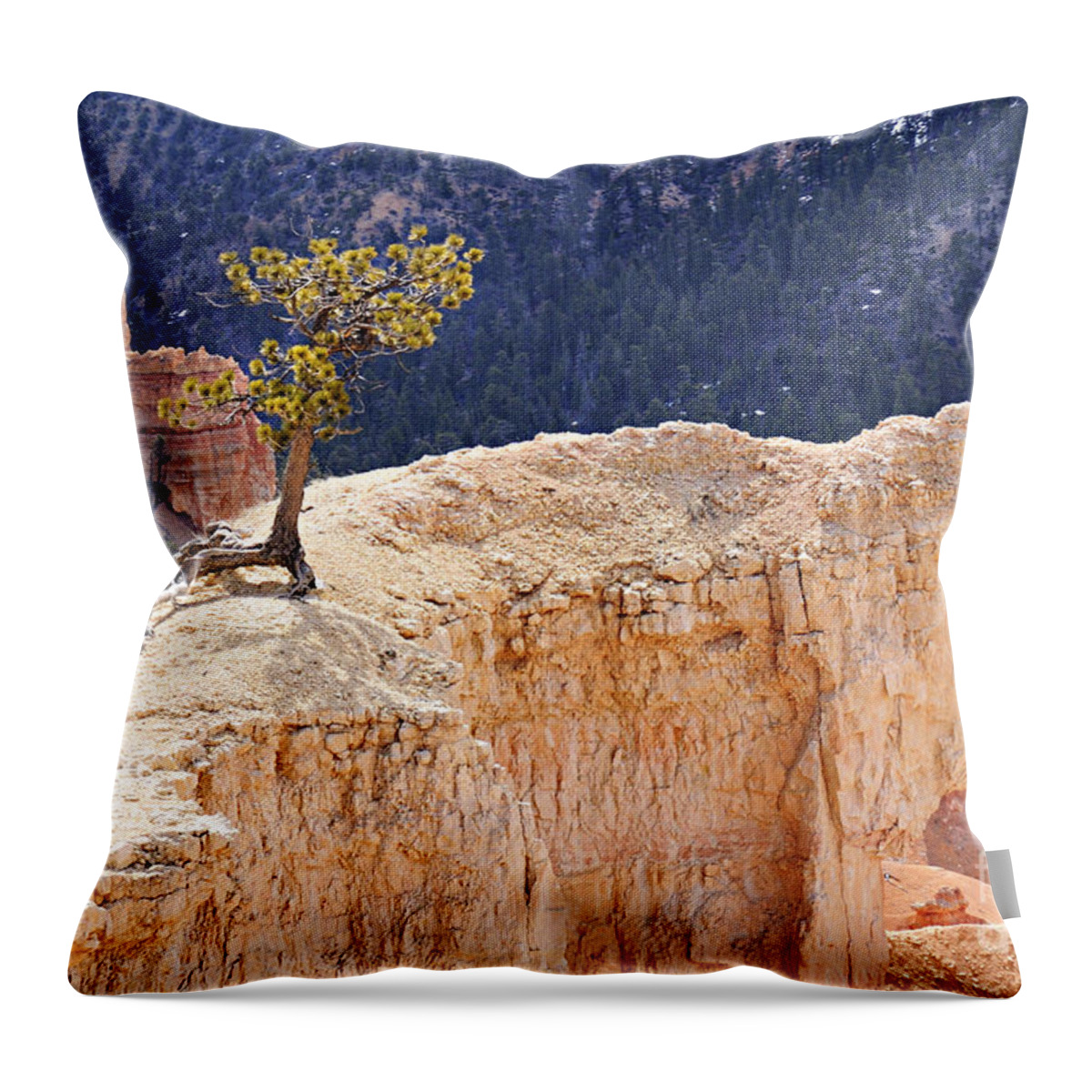 Photography Throw Pillow featuring the photograph Clinging to the Top of the Wall by Larry Ricker