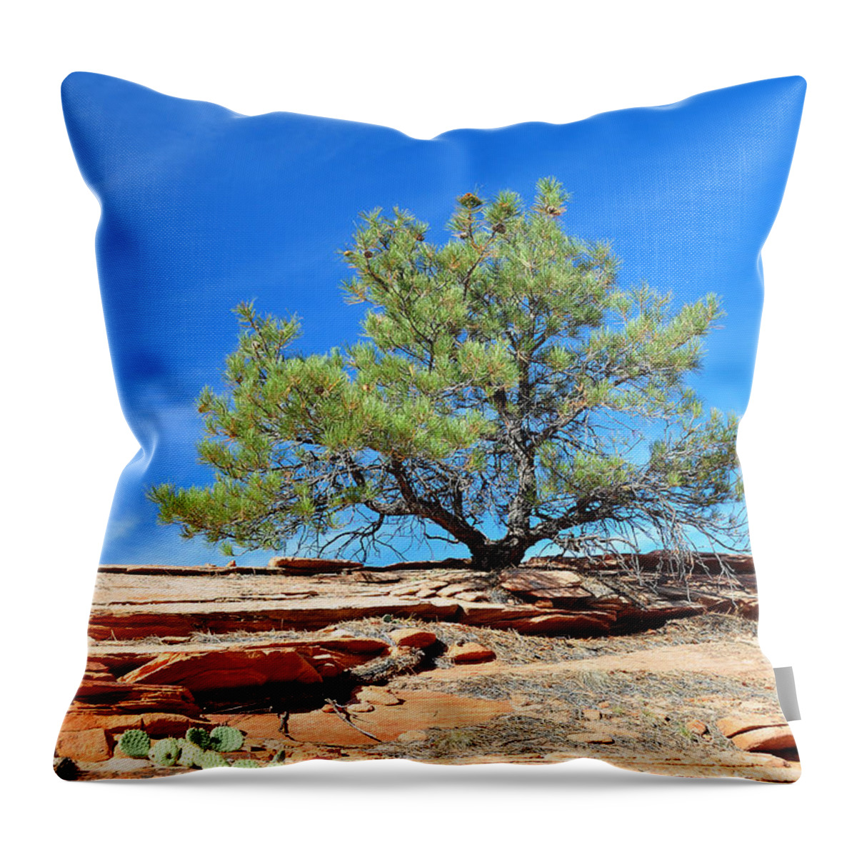 Zion Throw Pillow featuring the photograph Clinging Tree in Zion National Park by Bruce Gourley
