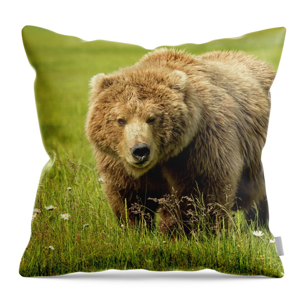 Grizzly Throw Pillow featuring the photograph Close Encounter by Steven Upton