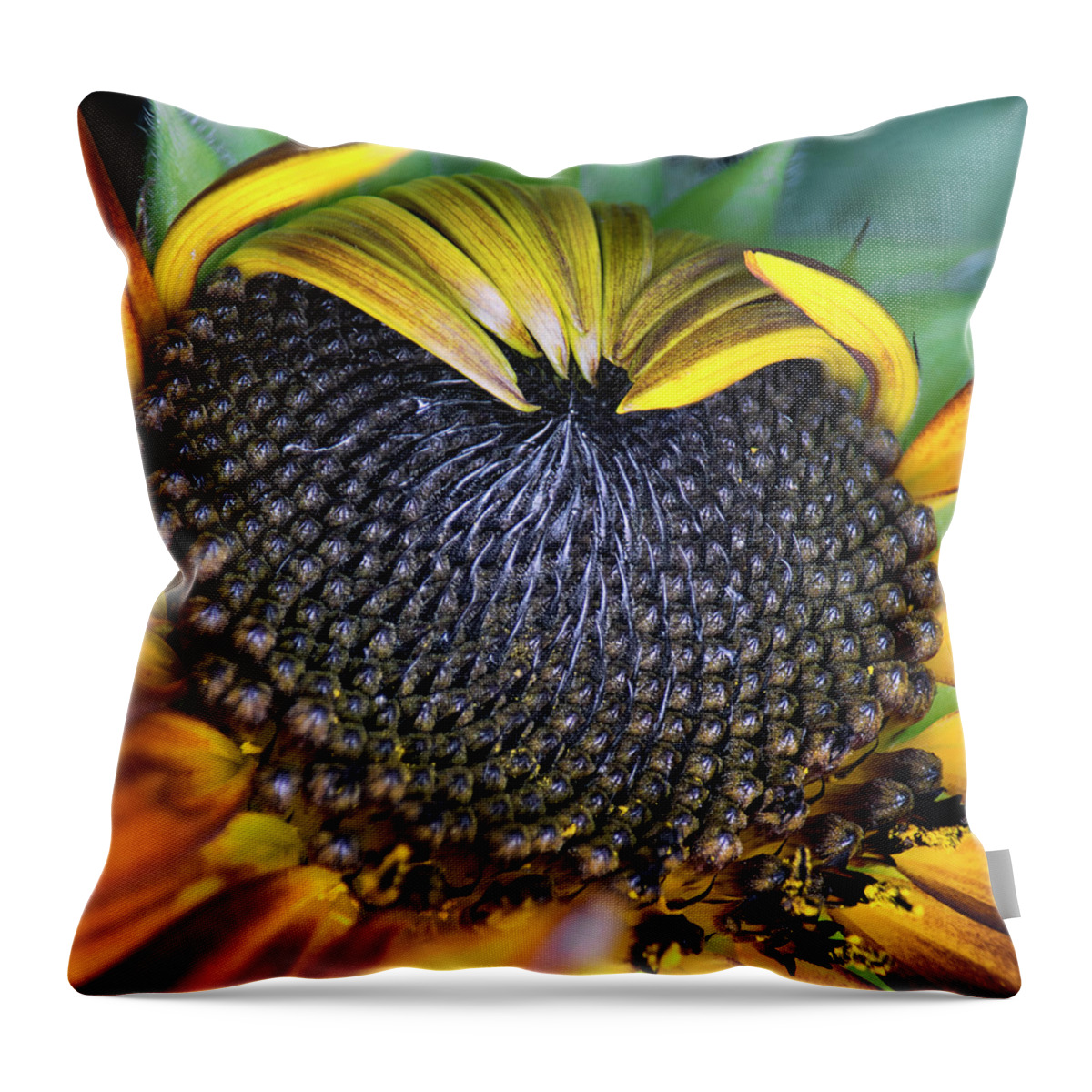 Sunflowers Throw Pillow featuring the photograph Close To Summer by Robert Fawcett