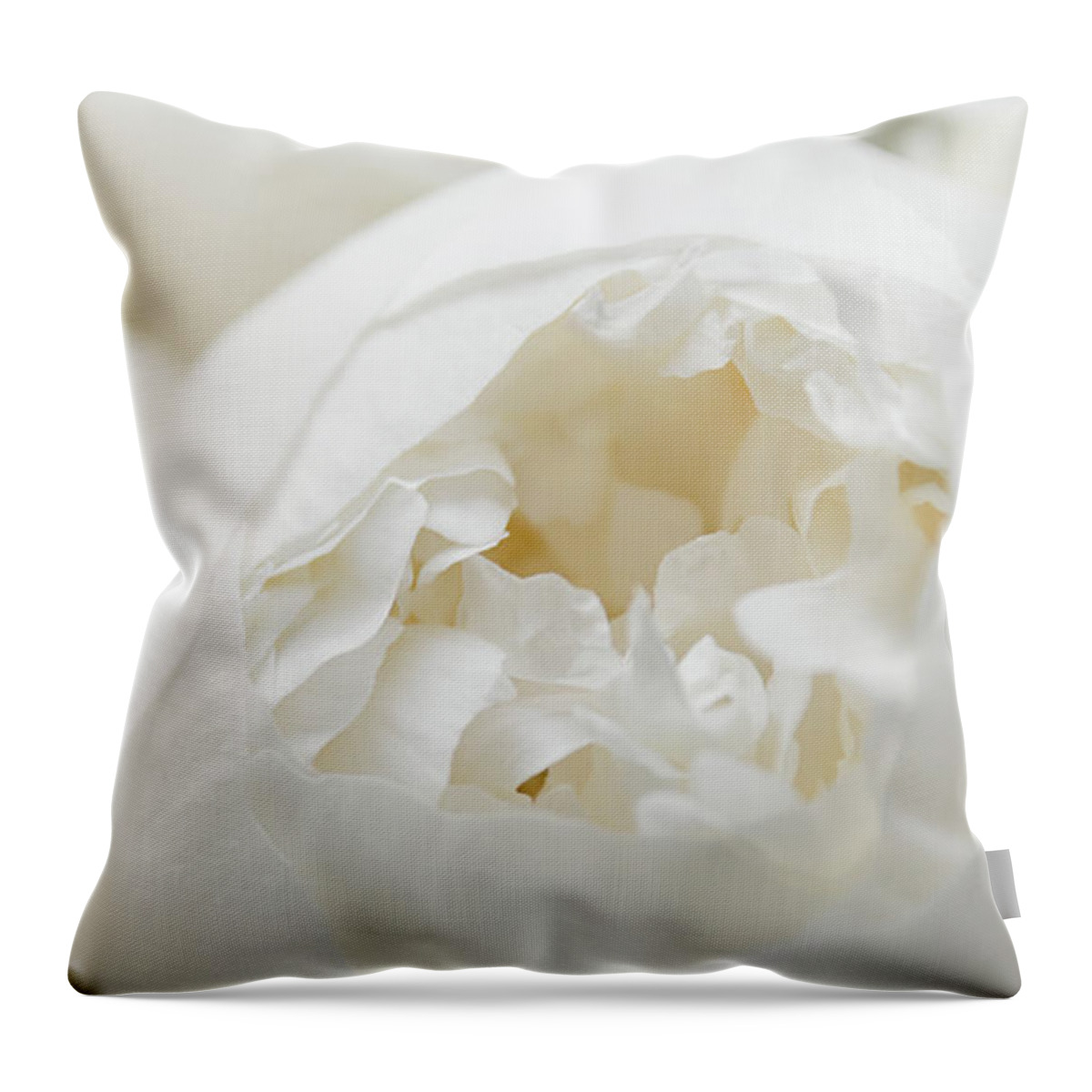 Clean Throw Pillow featuring the photograph Close up of Peonies by Lenny Carter