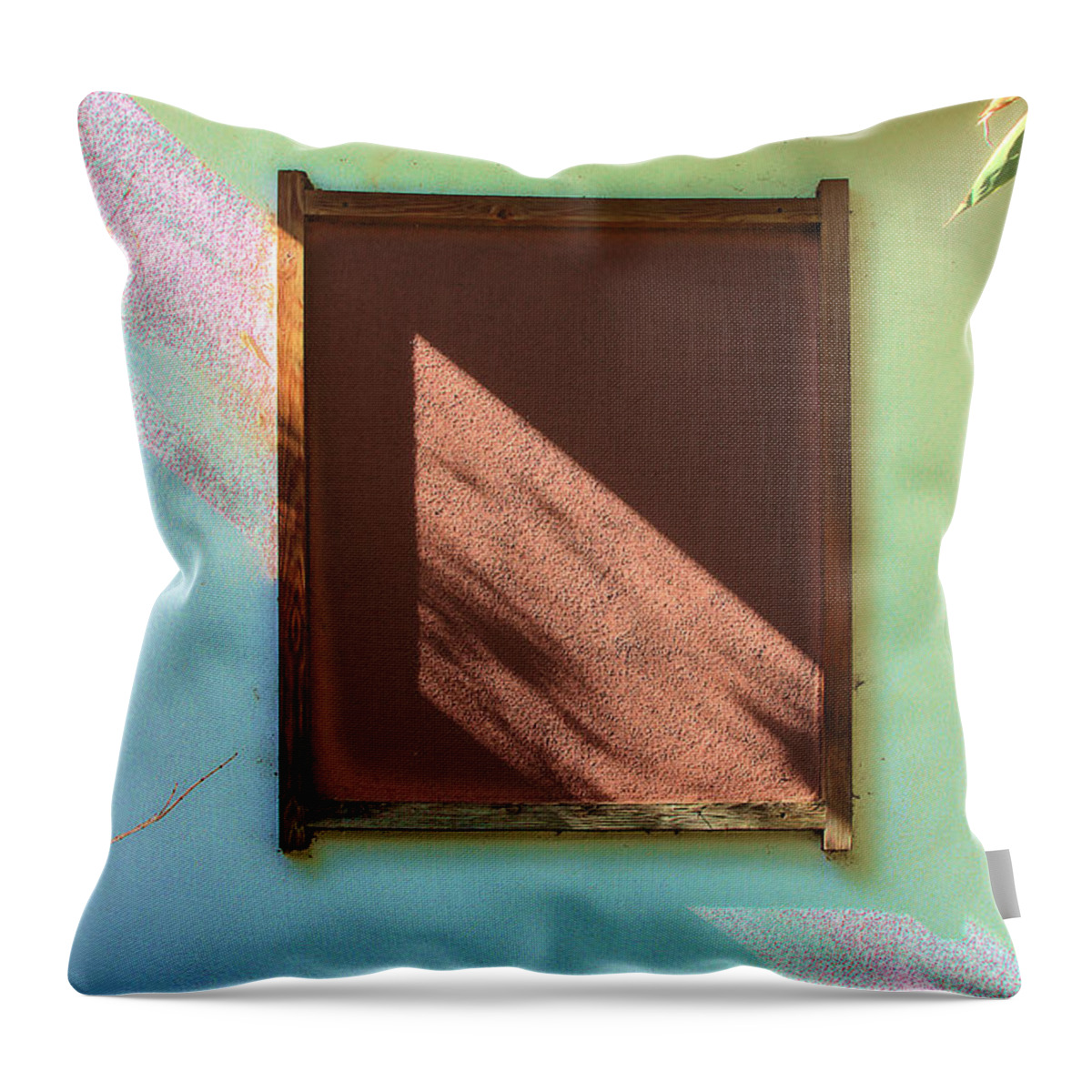 Closed Window Throw Pillow featuring the photograph Closed Window by Viktor Savchenko