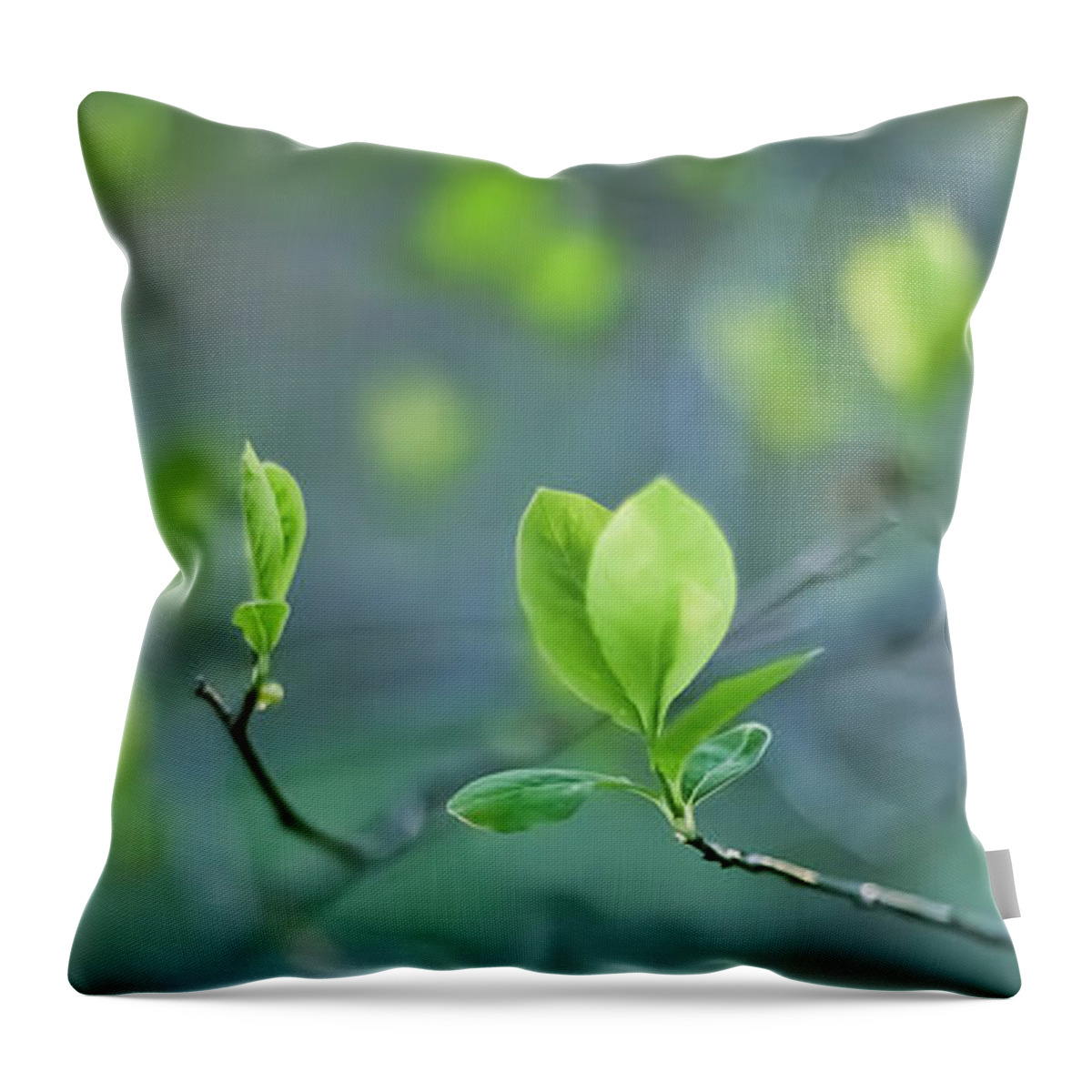 Leaves Throw Pillow featuring the photograph Closer To Spring by Elvira Pinkhas