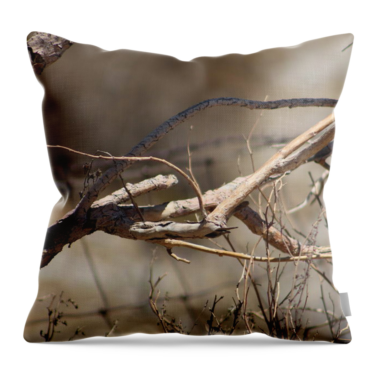 Golden Throw Pillow featuring the photograph Closeup of Dried Brush in Natural Sepia by Colleen Cornelius