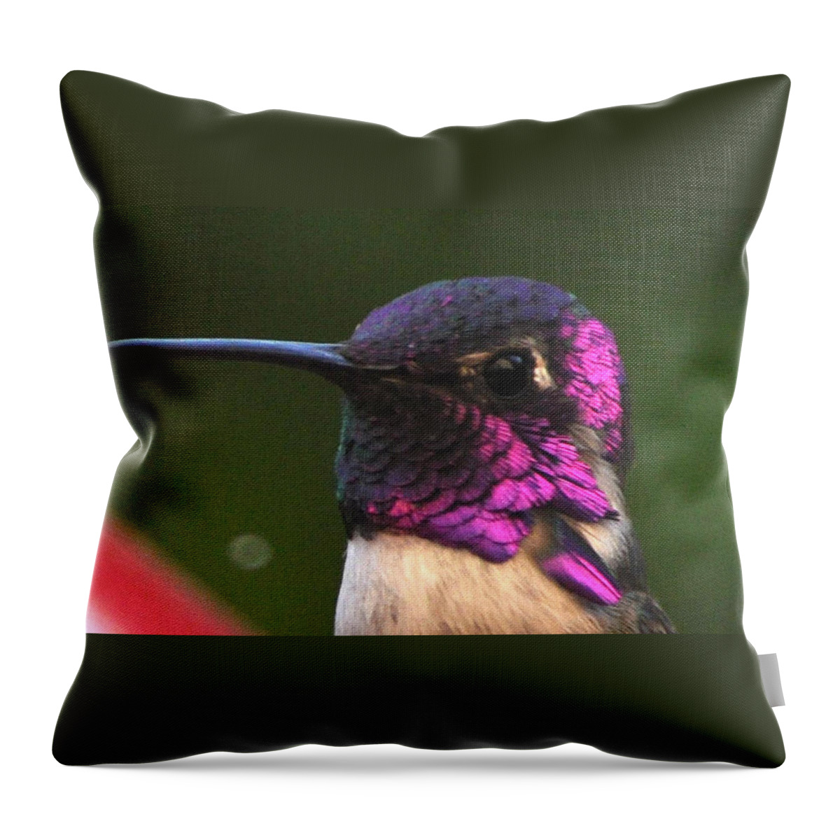 Animal Throw Pillow featuring the photograph Closeup Of Male Anna's by Jay Milo