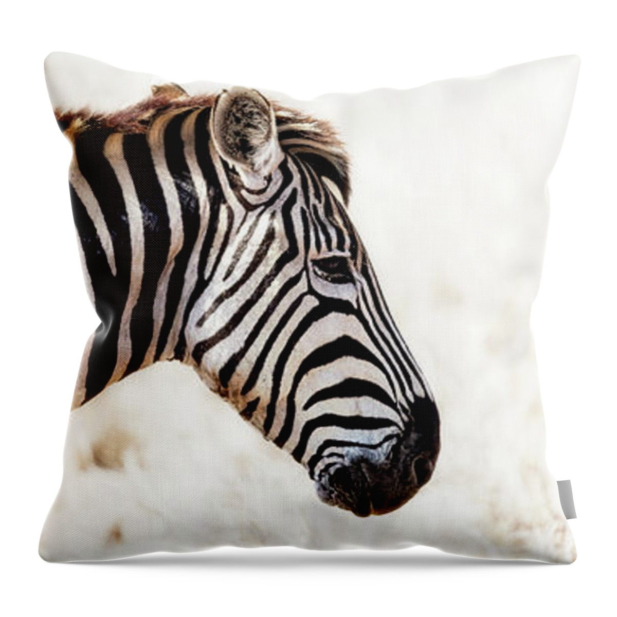 Burchell Throw Pillow featuring the photograph Closeup Zebra Horizontal Banner by Good Focused