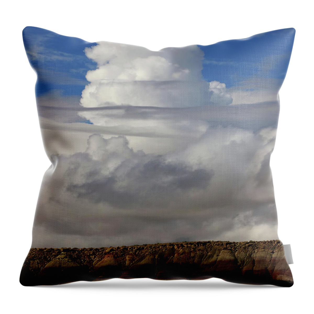 Cloud Throw Pillow featuring the photograph Sentinel by Jerry LoFaro