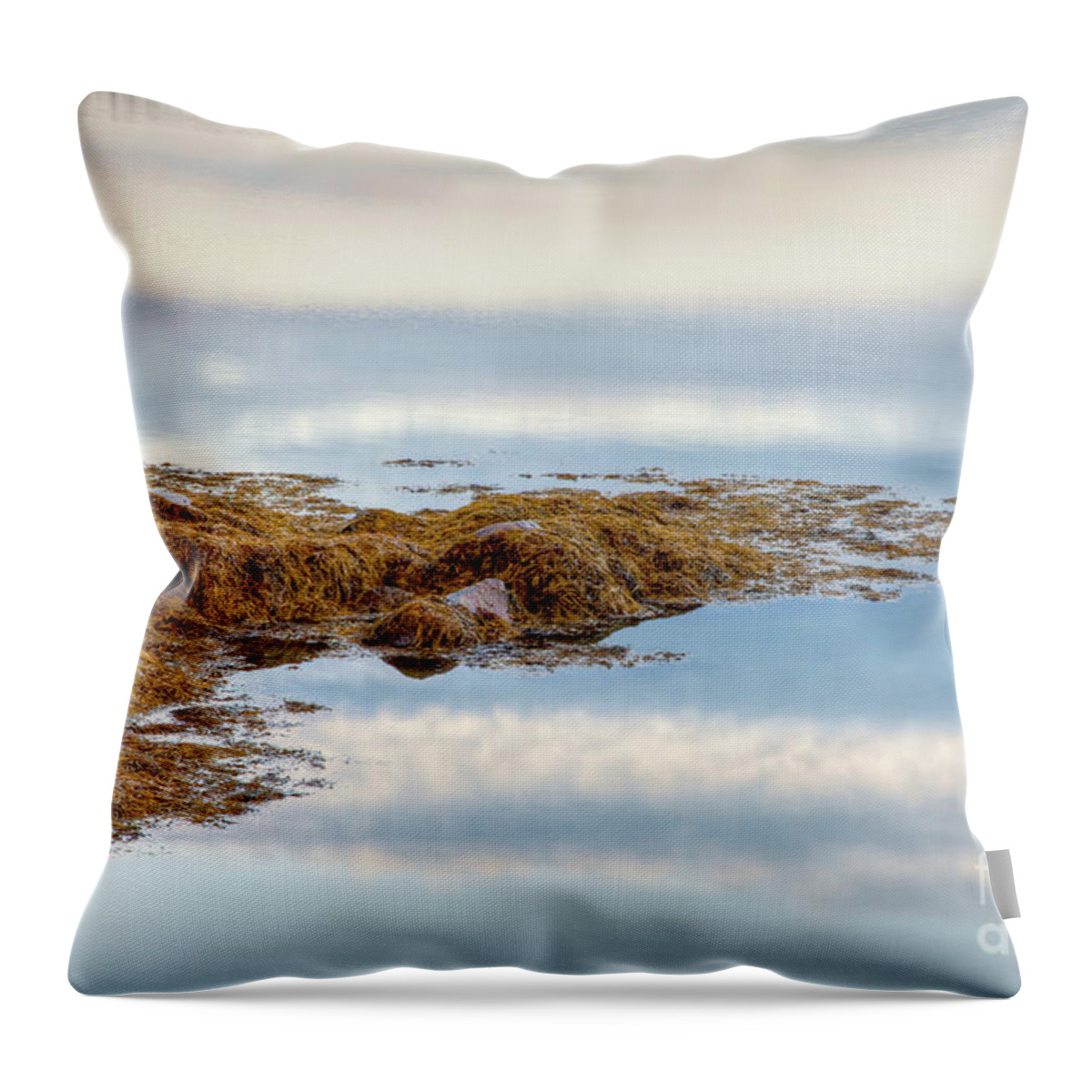 Beautiful Clouds Throw Pillow featuring the photograph Cloud Reflections by Susan Cole Kelly